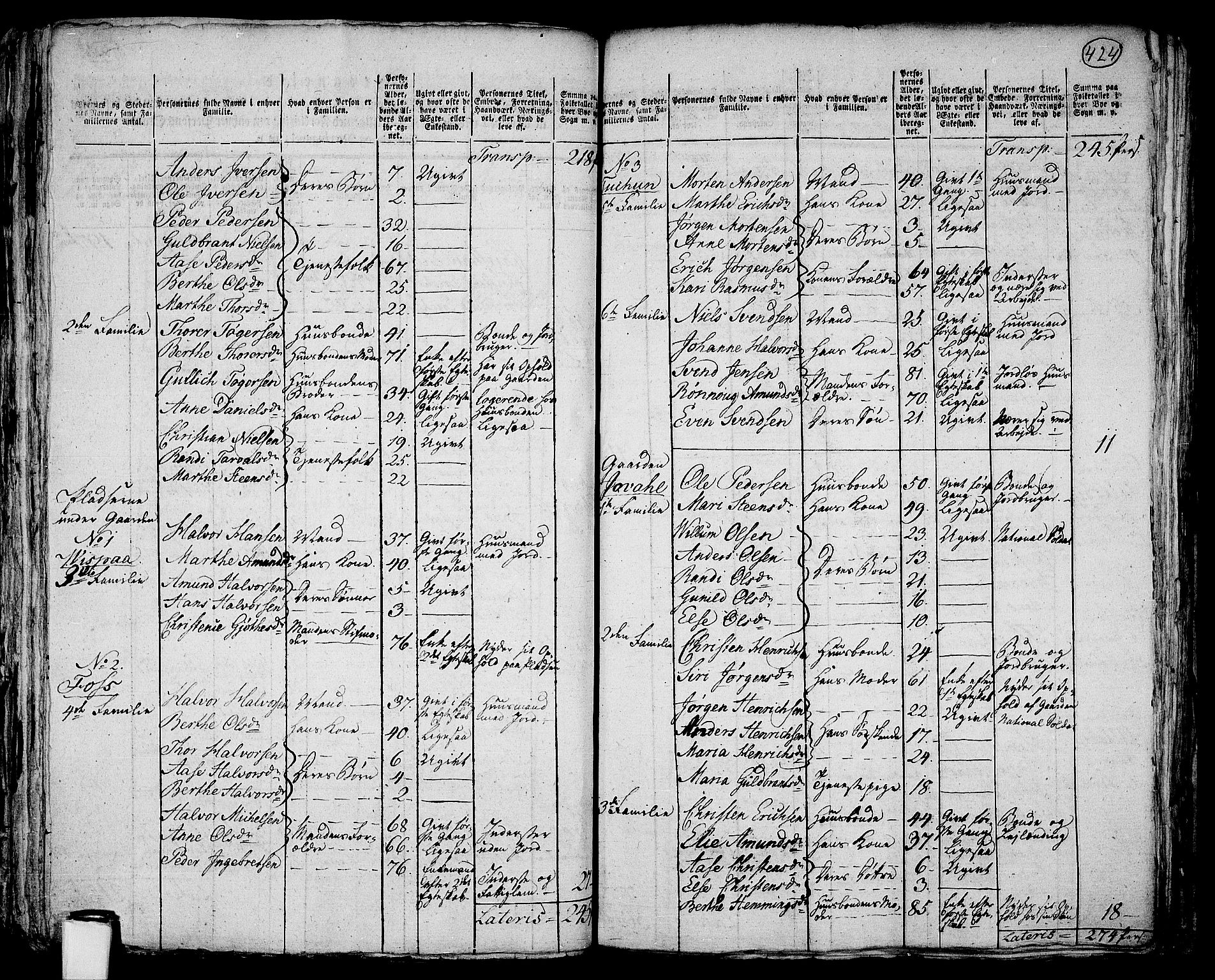 RA, 1801 census for 0120P Rødenes, 1801, p. 423b-424a