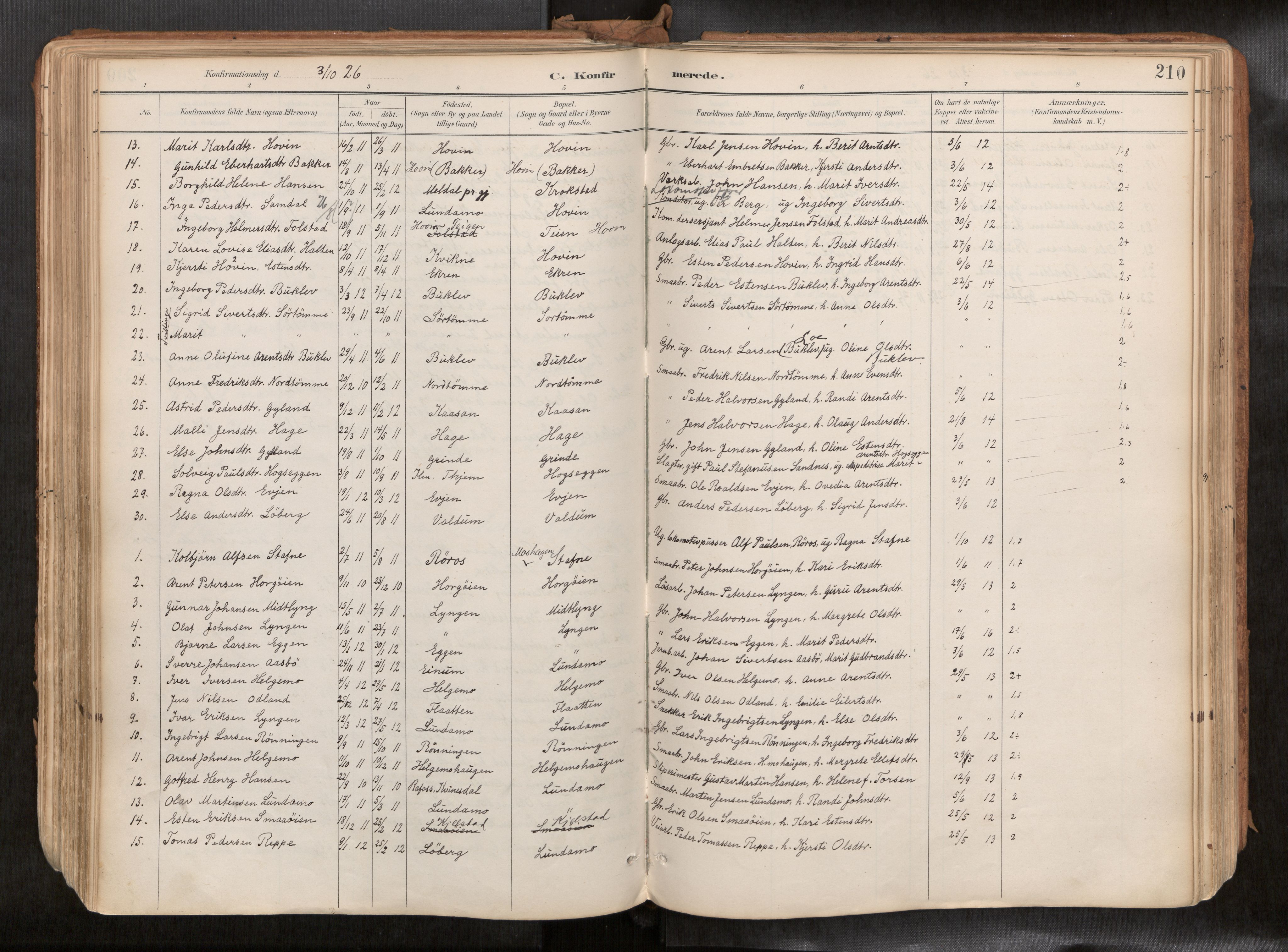 Ministerialprotokoller, klokkerbøker og fødselsregistre - Sør-Trøndelag, SAT/A-1456/692/L1105b: Parish register (official) no. 692A06, 1891-1934, p. 210