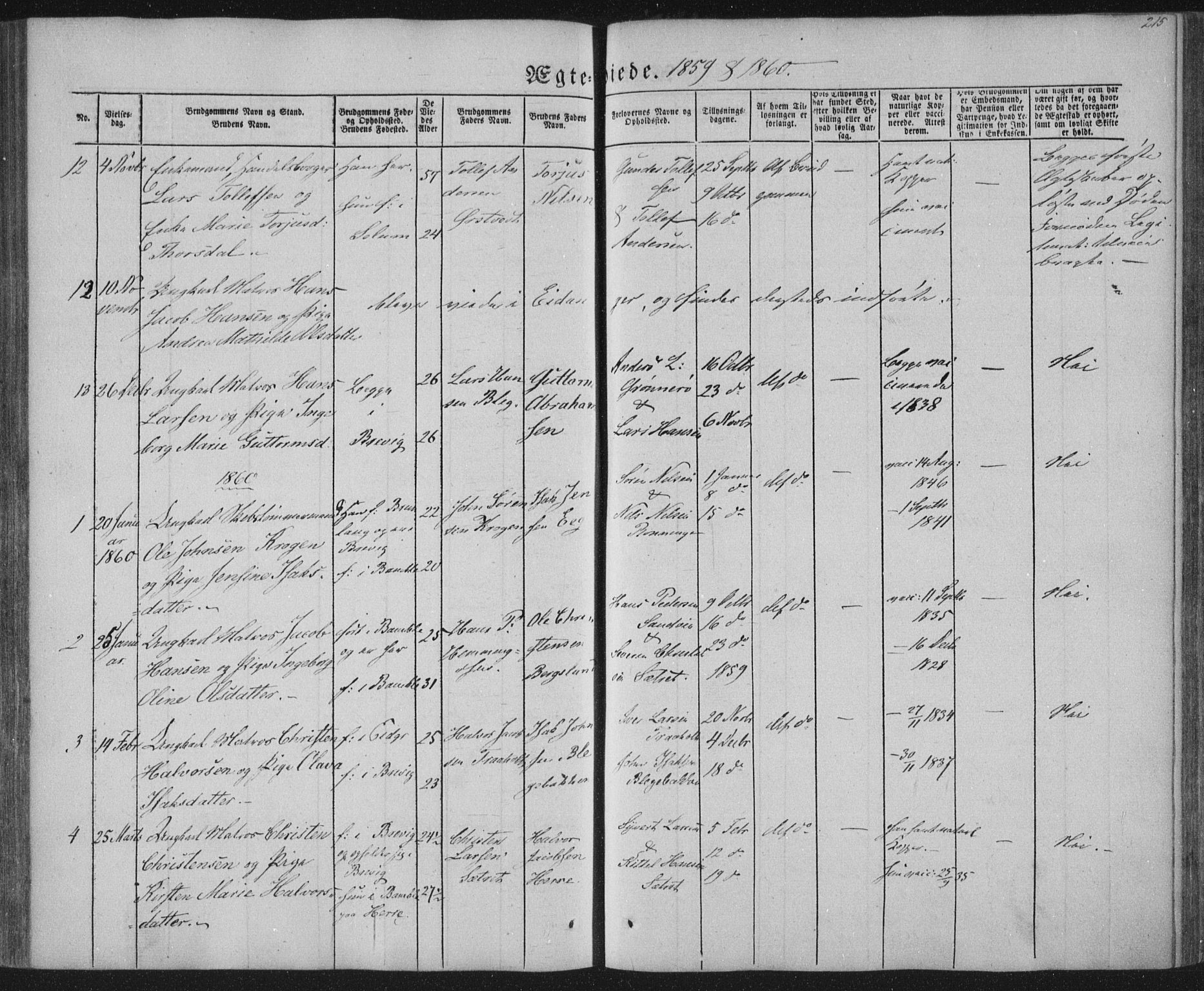 Brevik kirkebøker, SAKO/A-255/F/Fa/L0005: Parish register (official) no. 5, 1847-1865, p. 215