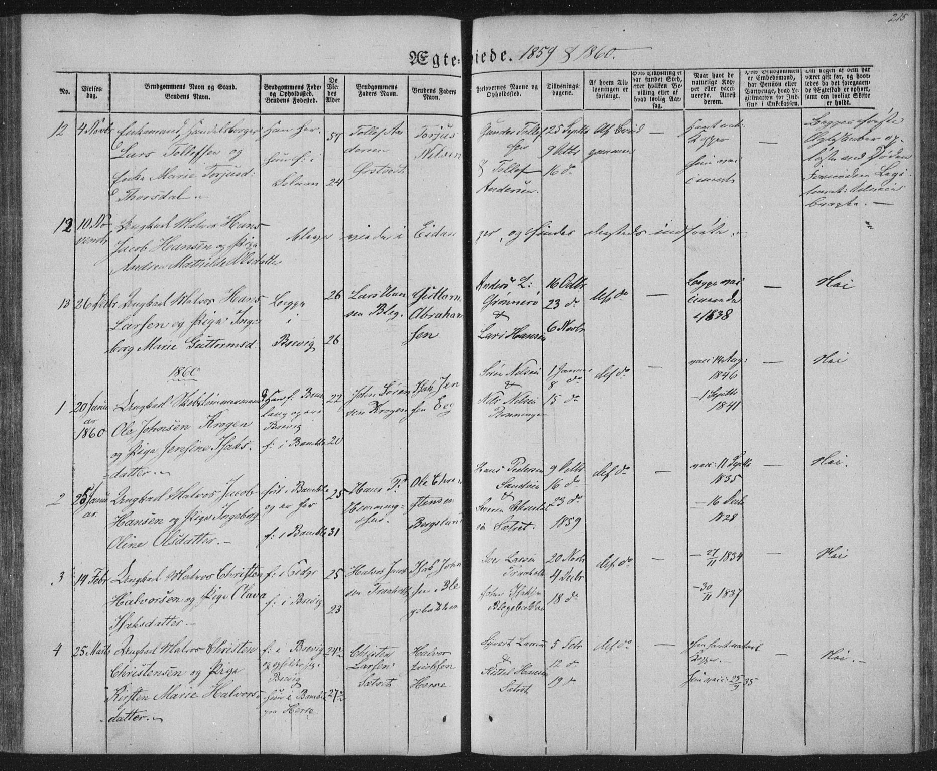 Brevik kirkebøker, AV/SAKO-A-255/F/Fa/L0005: Parish register (official) no. 5, 1847-1865, p. 215