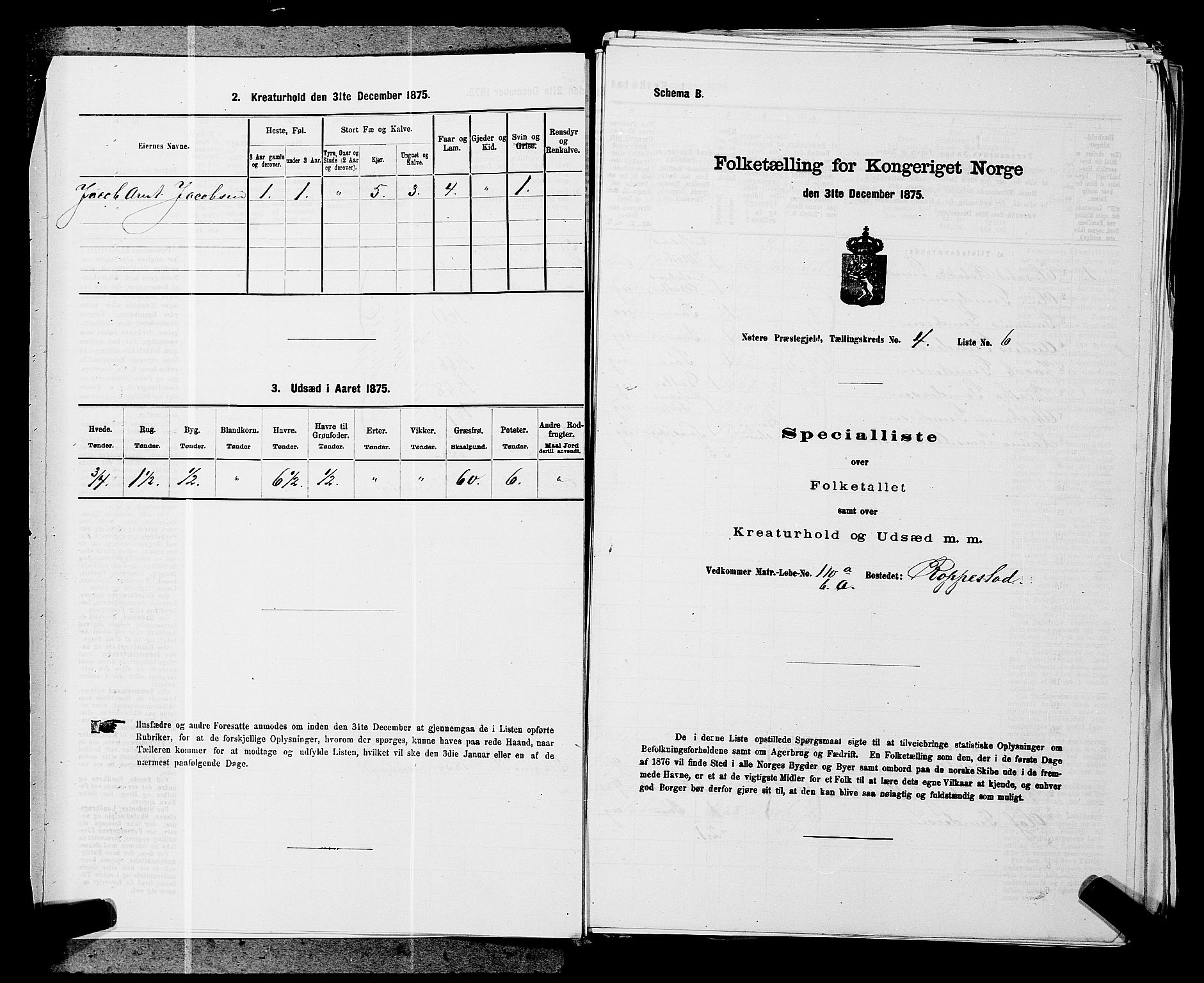 SAKO, 1875 census for 0722P Nøtterøy, 1875, p. 807