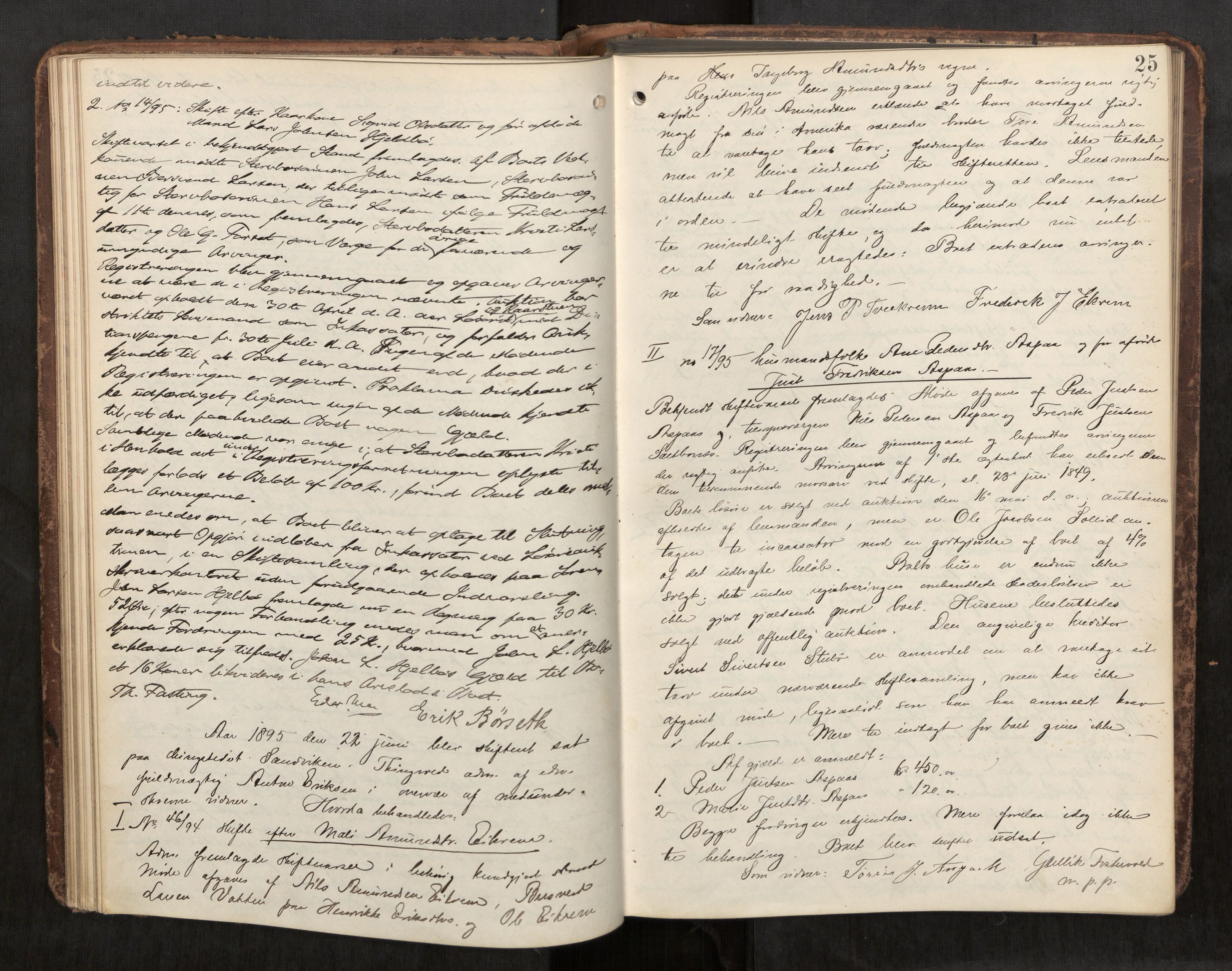 Nordmøre sorenskriveri, AV/SAT-A-4132/1/3/3B/L0006: Forhandlingsprotokoll nr. 06, 1894-1900, p. 25