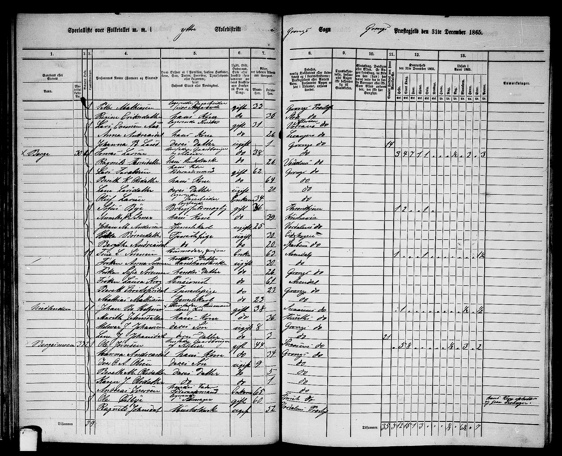 RA, 1865 census for Grong, 1865, p. 53