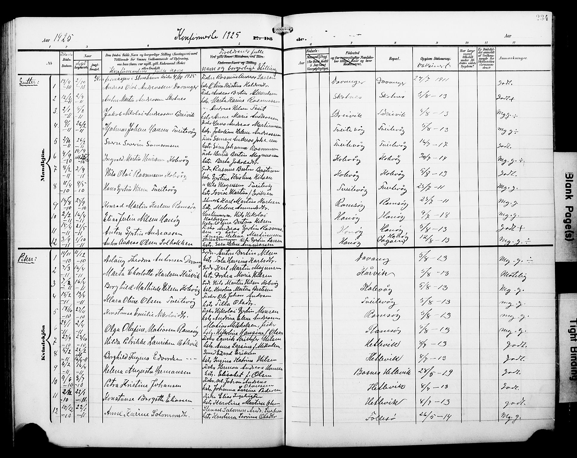 Askøy Sokneprestembete, SAB/A-74101/H/Ha/Hab/Haba/L0014: Parish register (copy) no. A 14, 1904-1927, p. 234