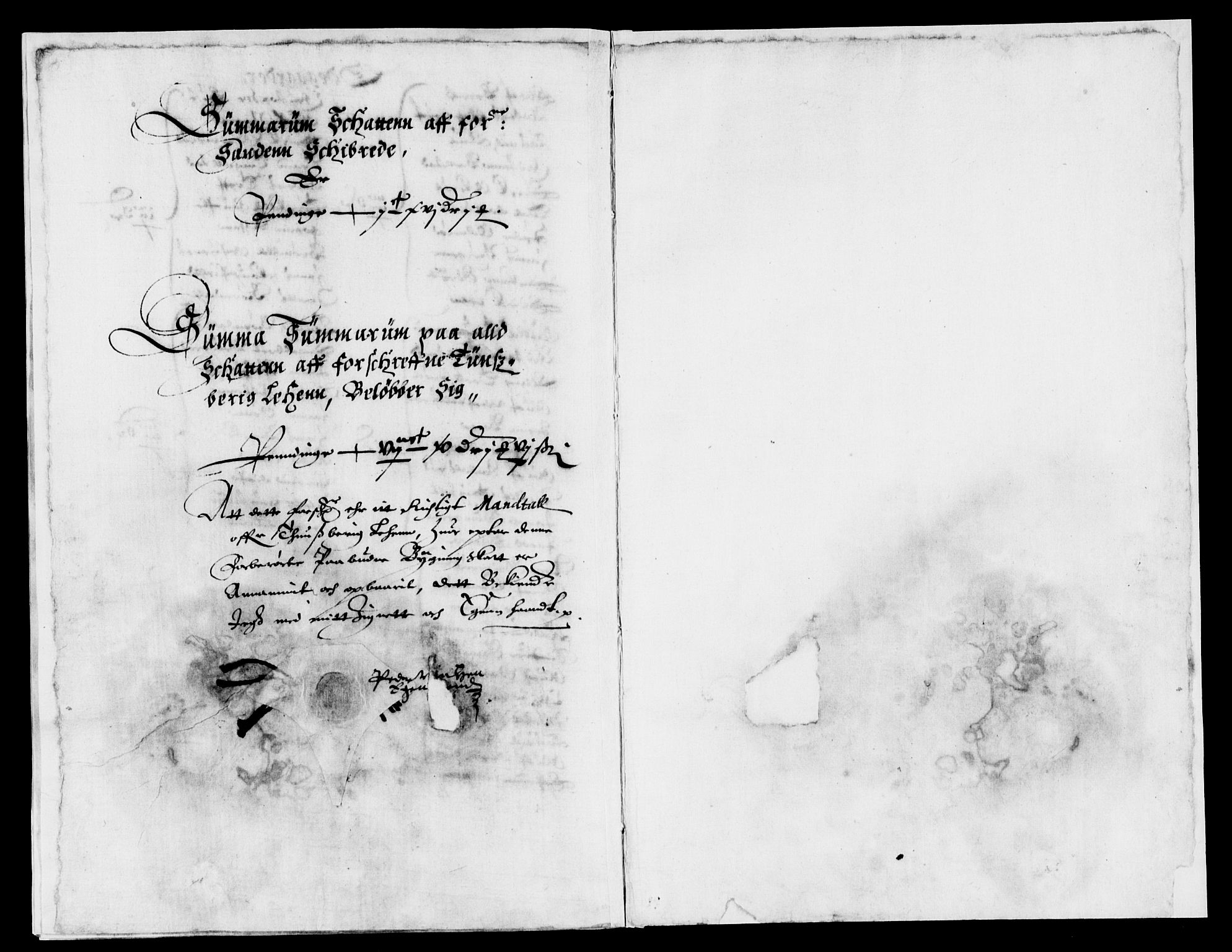 Rentekammeret inntil 1814, Reviderte regnskaper, Lensregnskaper, AV/RA-EA-5023/R/Rb/Rbo/L0013: Tønsberg len, 1631-1633