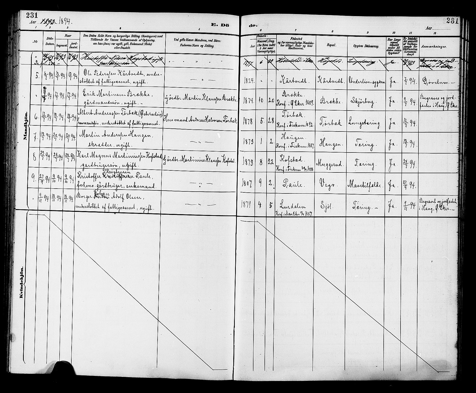 Fiskum kirkebøker, AV/SAKO-A-15/G/Ga/L0005: Parish register (copy) no. 5, 1887-1912, p. 231