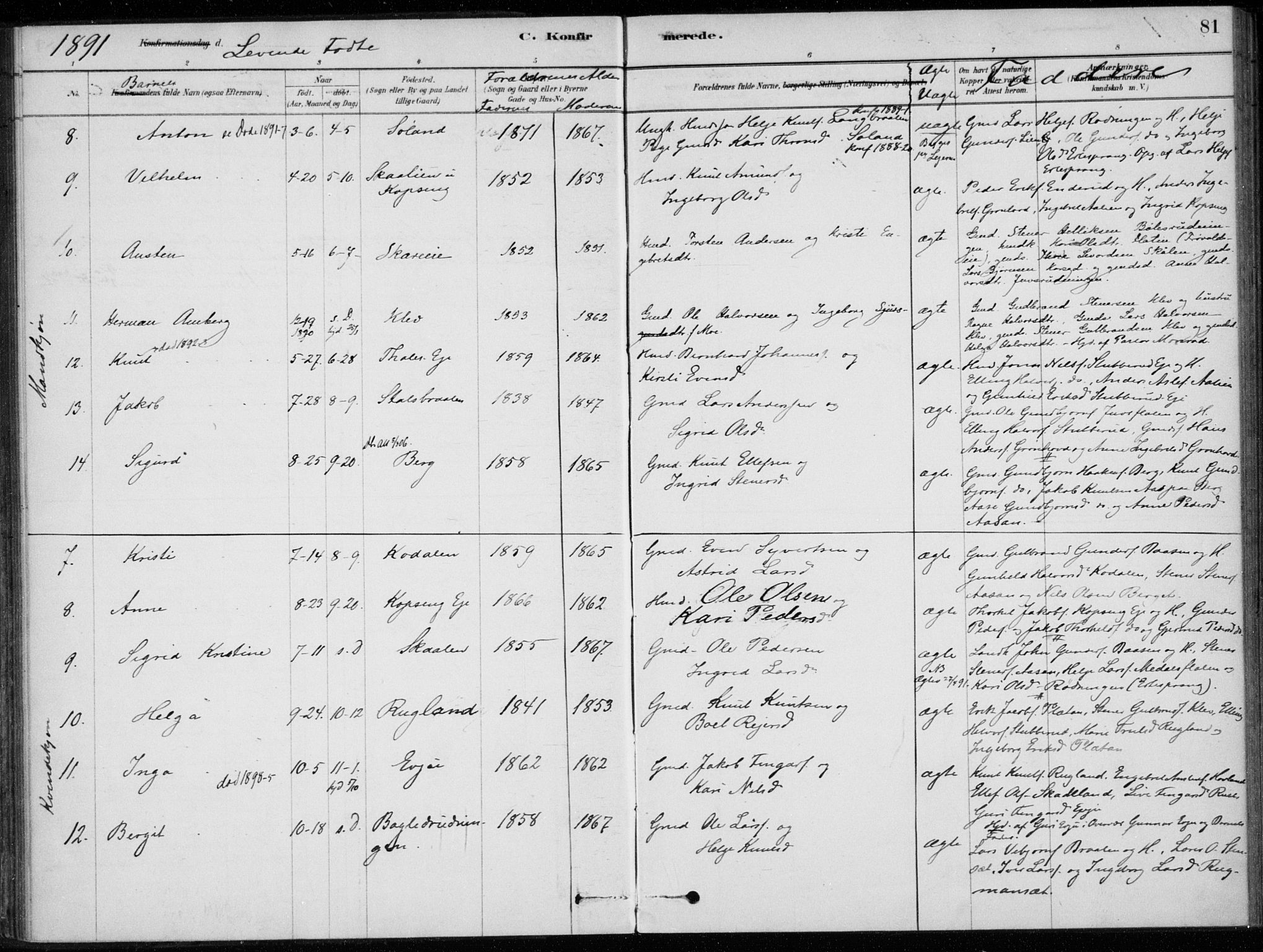 Sigdal kirkebøker, AV/SAKO-A-245/F/Fc/L0001: Parish register (official) no. III 1, 1879-1893, p. 81