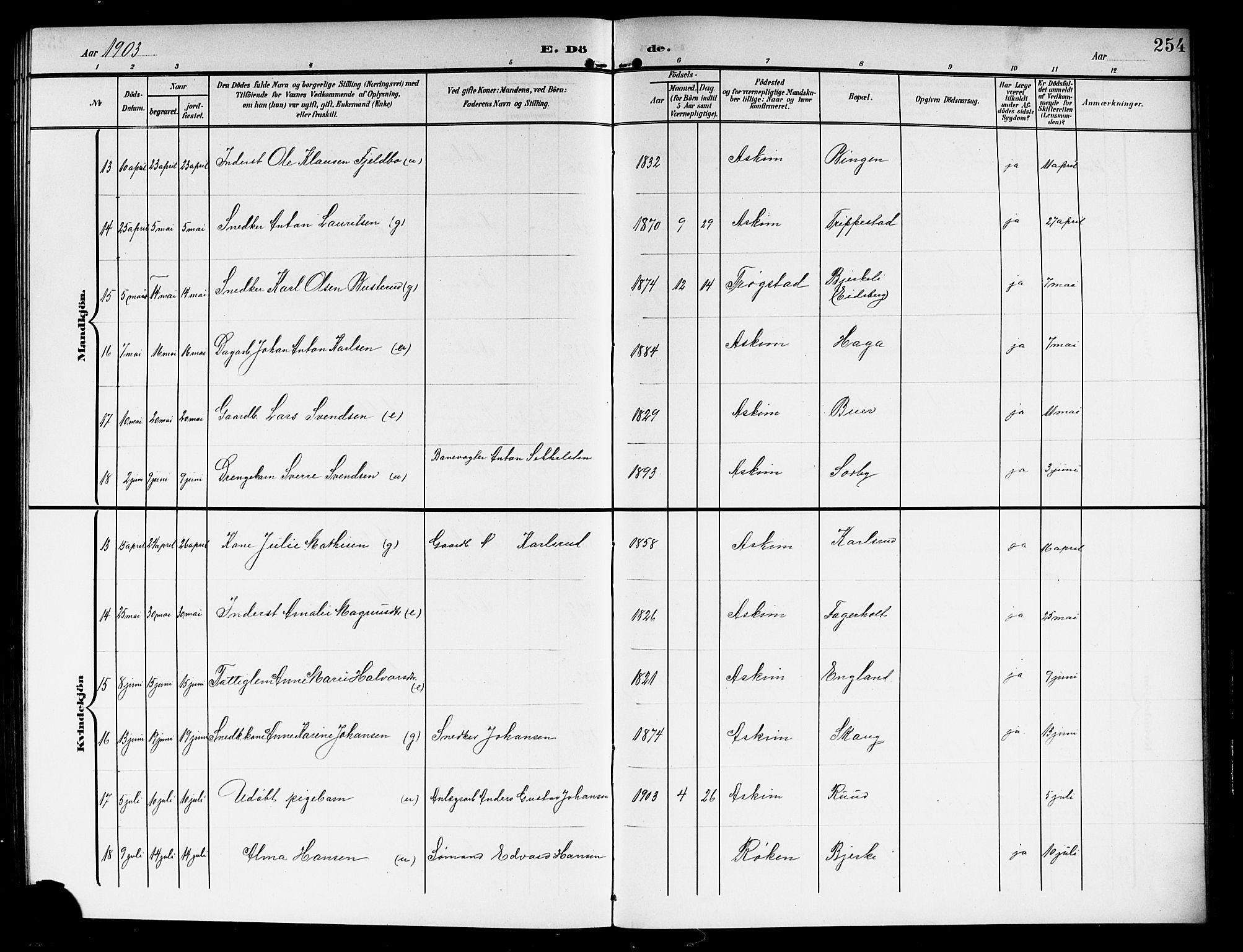 Askim prestekontor Kirkebøker, SAO/A-10900/G/Ga/L0002: Parish register (copy) no. 2, 1903-1921, p. 254