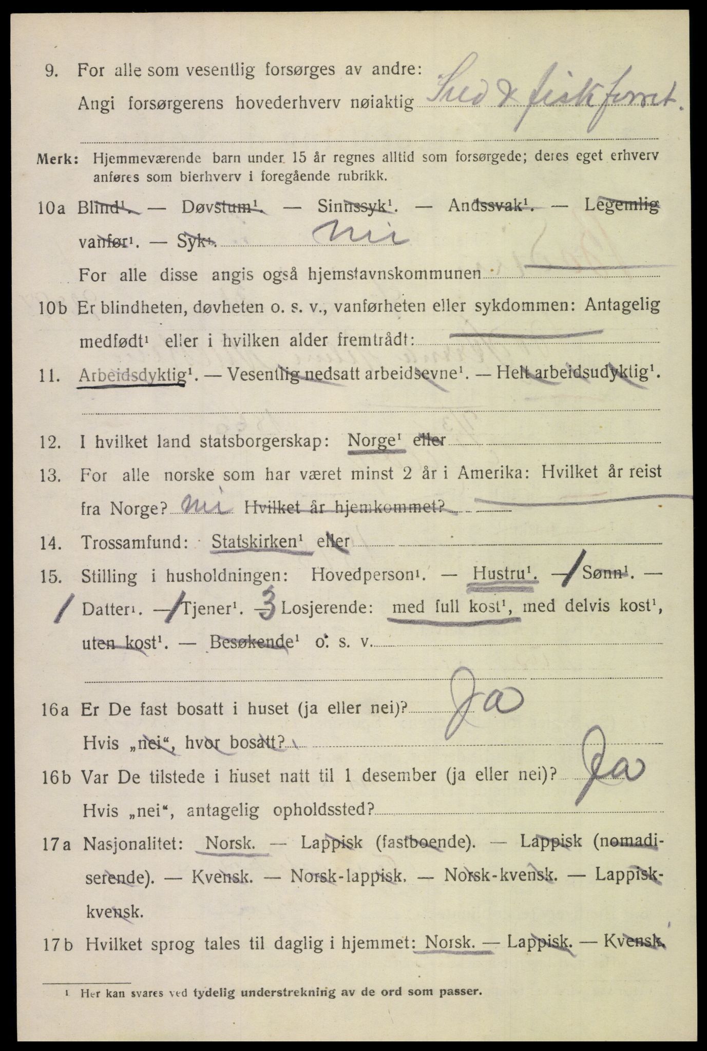 SAT, 1920 census for Bodin, 1920, p. 4863