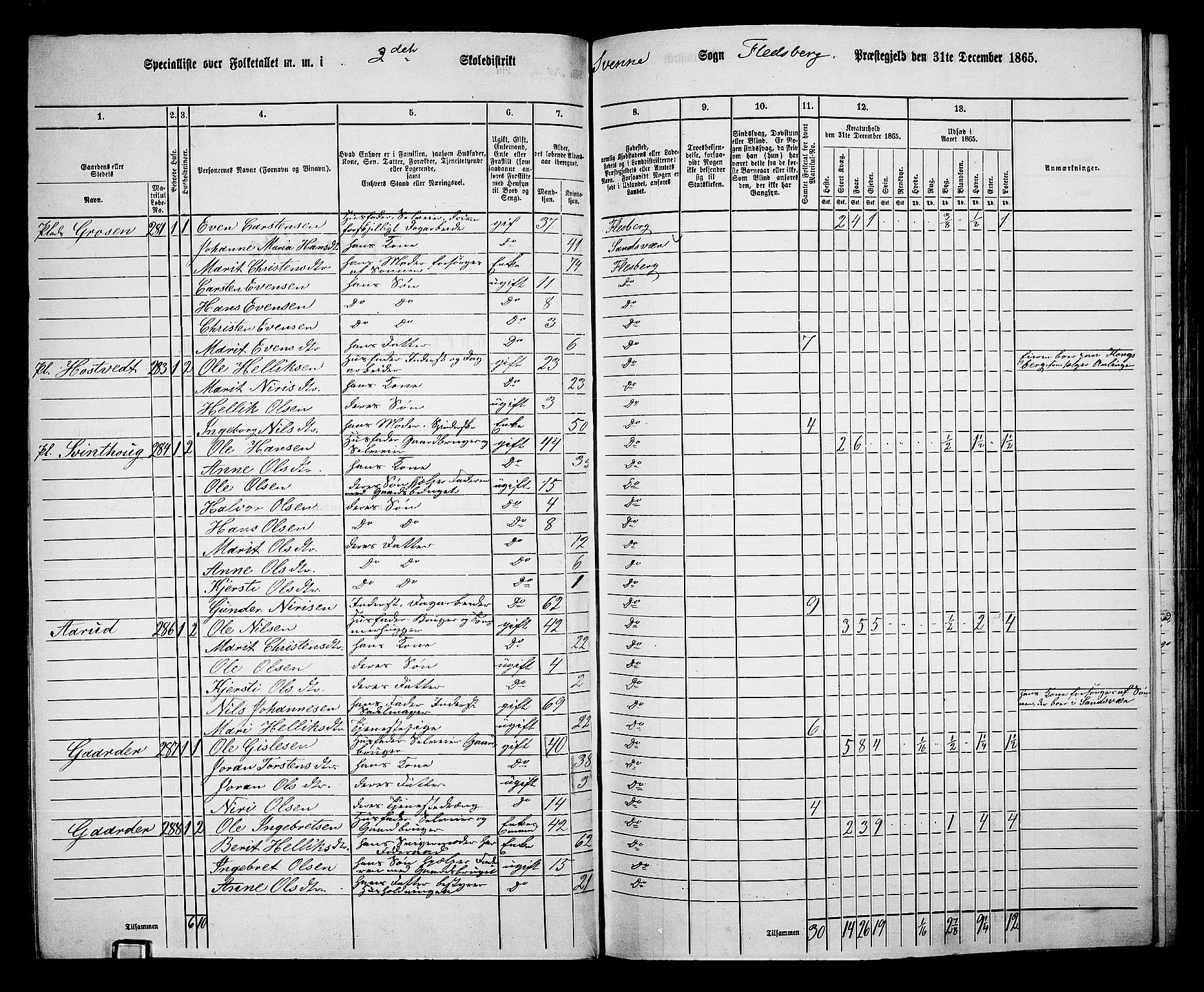 RA, 1865 census for Flesberg, 1865, p. 54