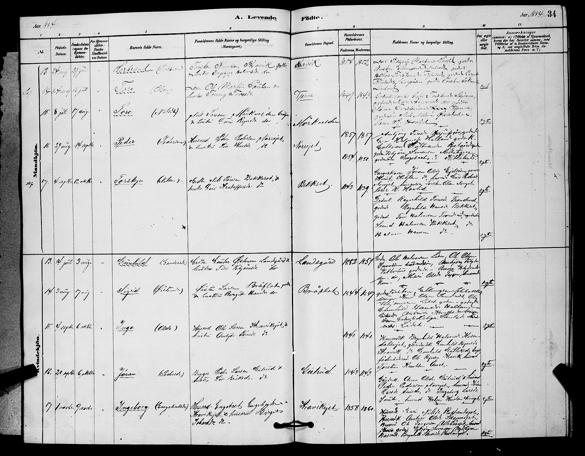 Nore kirkebøker, AV/SAKO-A-238/G/Ga/L0002: Parish register (copy) no. I 2, 1878-1885, p. 34