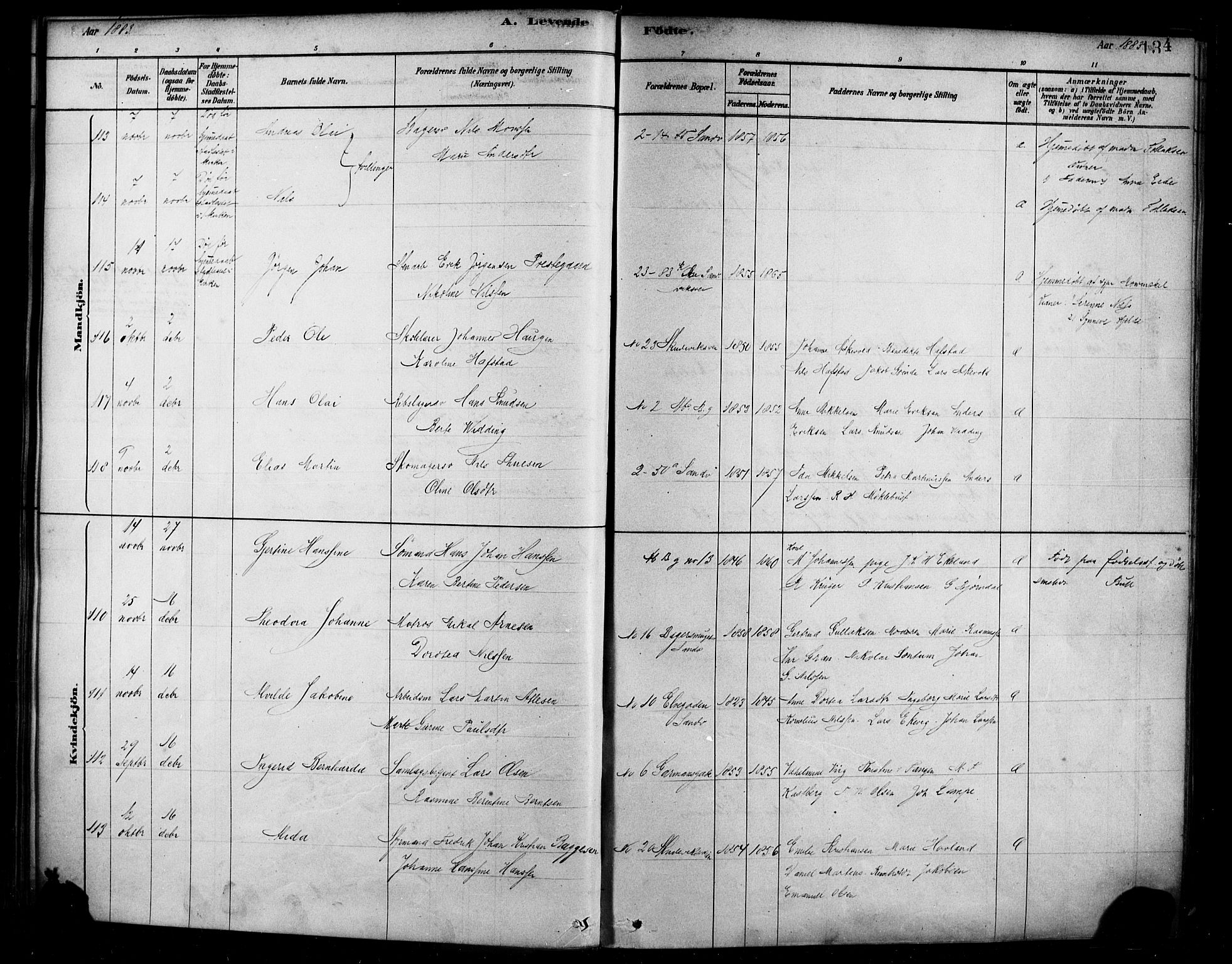 Sandviken Sokneprestembete, AV/SAB-A-77601/H/Ha/L0004: Parish register (official) no. B 1, 1878-1891, p. 134