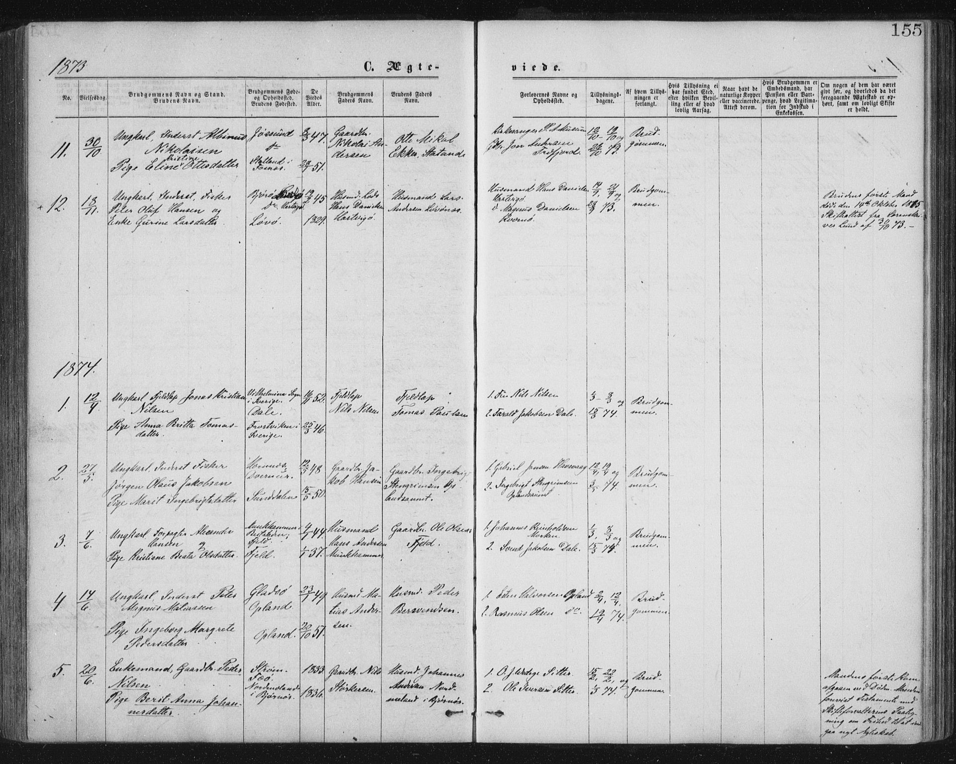 Ministerialprotokoller, klokkerbøker og fødselsregistre - Nord-Trøndelag, AV/SAT-A-1458/771/L0596: Parish register (official) no. 771A03, 1870-1884, p. 155