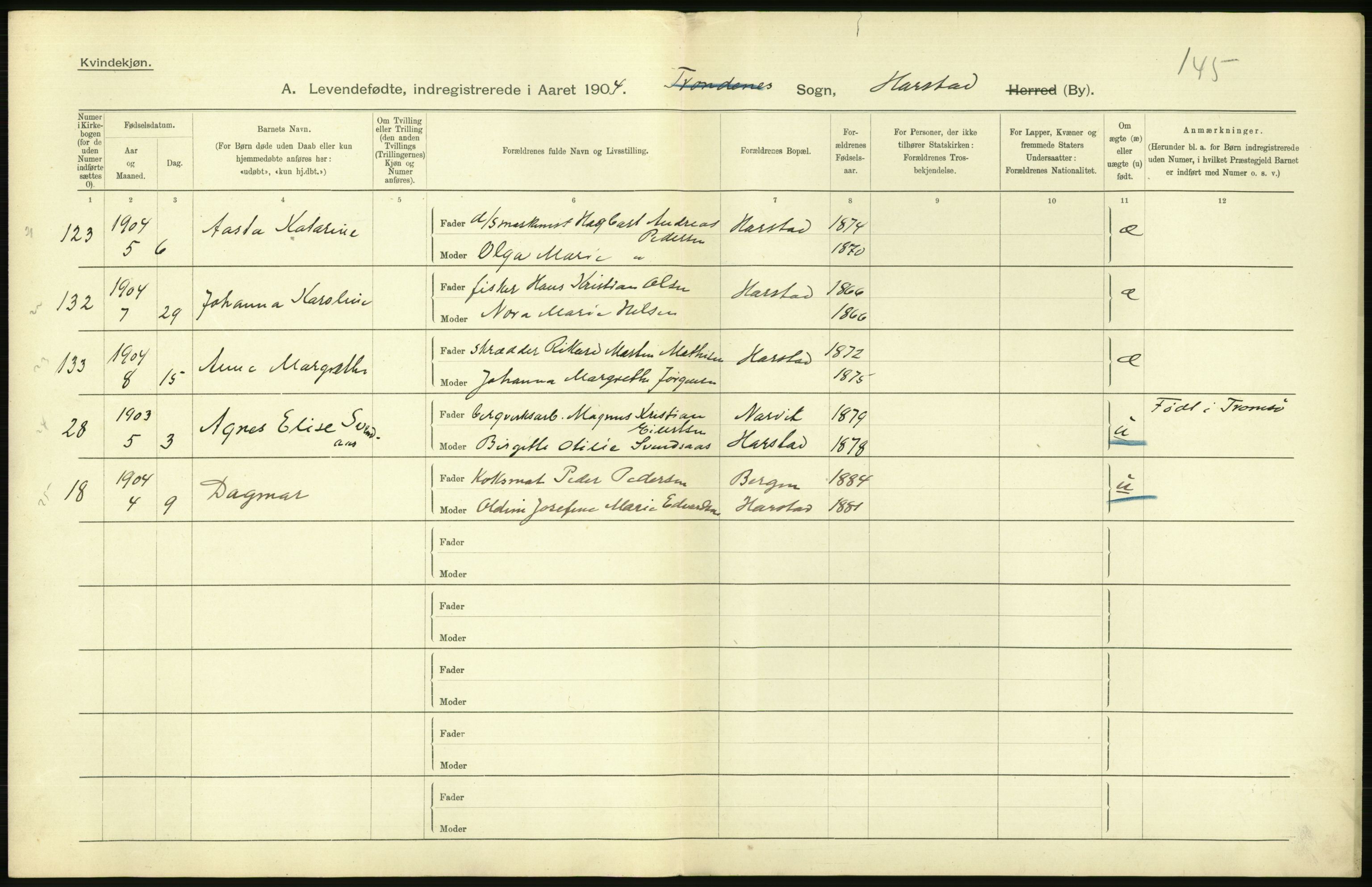 Statistisk sentralbyrå, Sosiodemografiske emner, Befolkning, AV/RA-S-2228/D/Df/Dfa/Dfab/L0022: Tromsø amt: Fødte, gifte, døde, 1904, p. 294