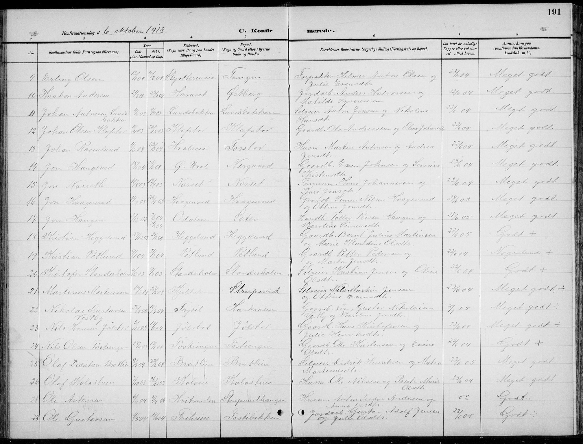 Romedal prestekontor, AV/SAH-PREST-004/L/L0013: Parish register (copy) no. 13, 1896-1937, p. 191