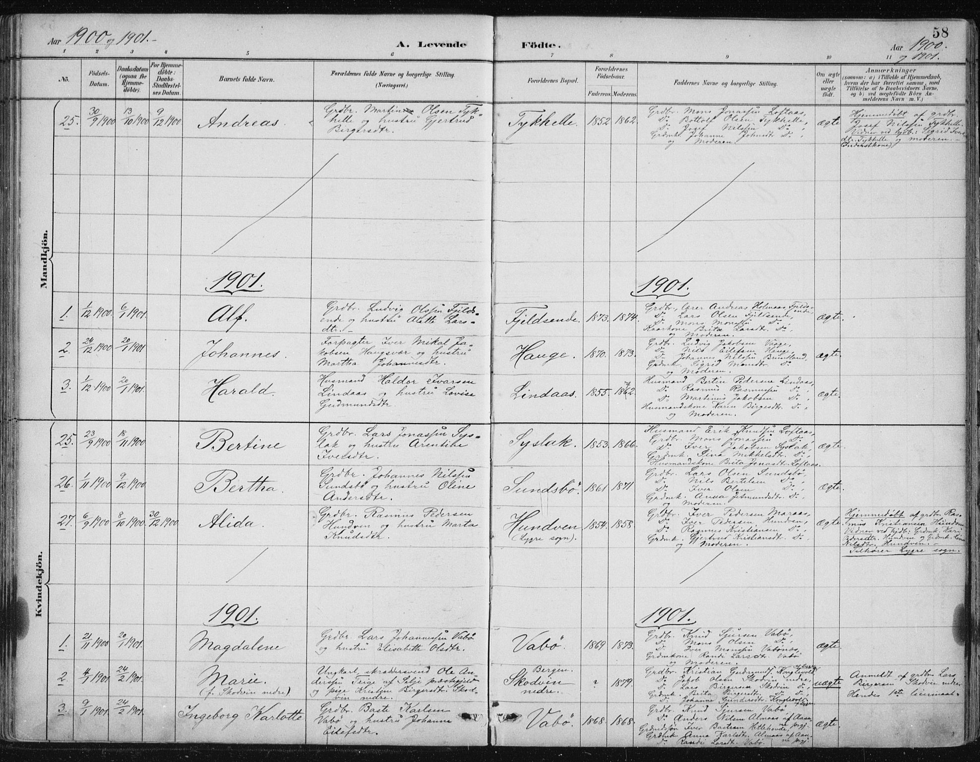 Lindås Sokneprestembete, SAB/A-76701/H/Hab: Parish register (copy) no. B 3, 1886-1914, p. 58