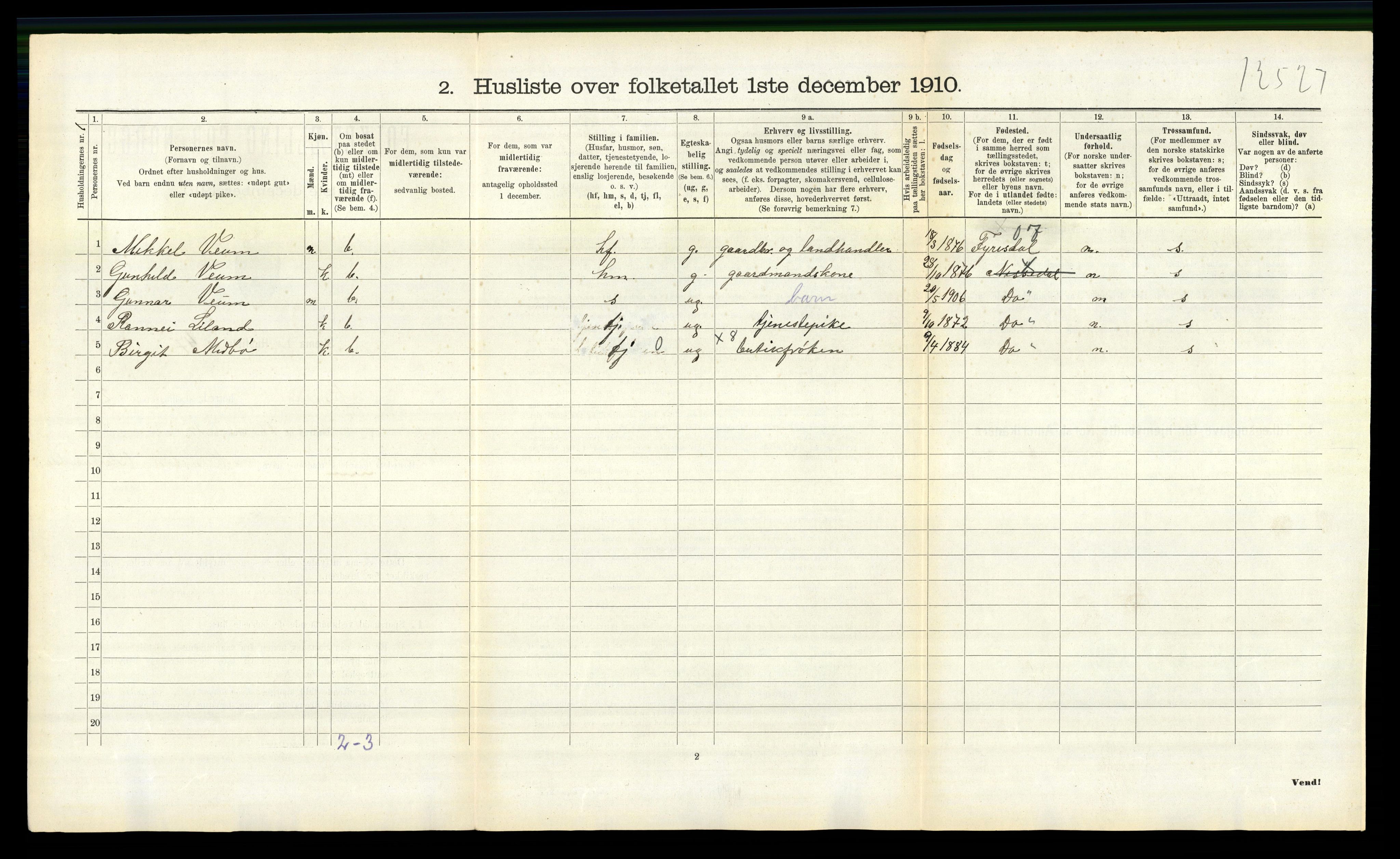 RA, 1910 census for Nissedal, 1910, p. 197