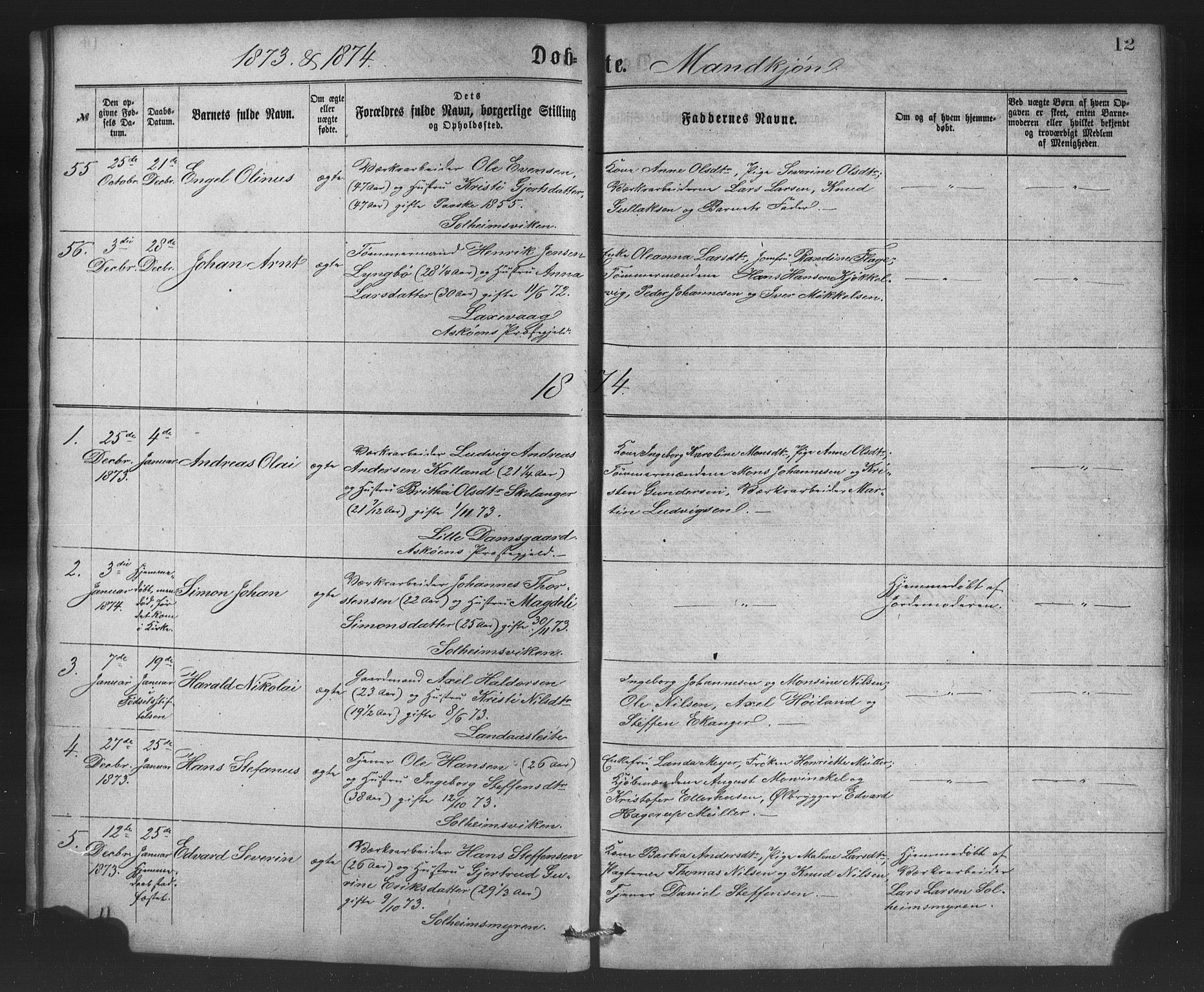 St. Jørgens hospital og Årstad sokneprestembete, SAB/A-99934: Parish register (copy) no. A 4, 1873-1885, p. 12