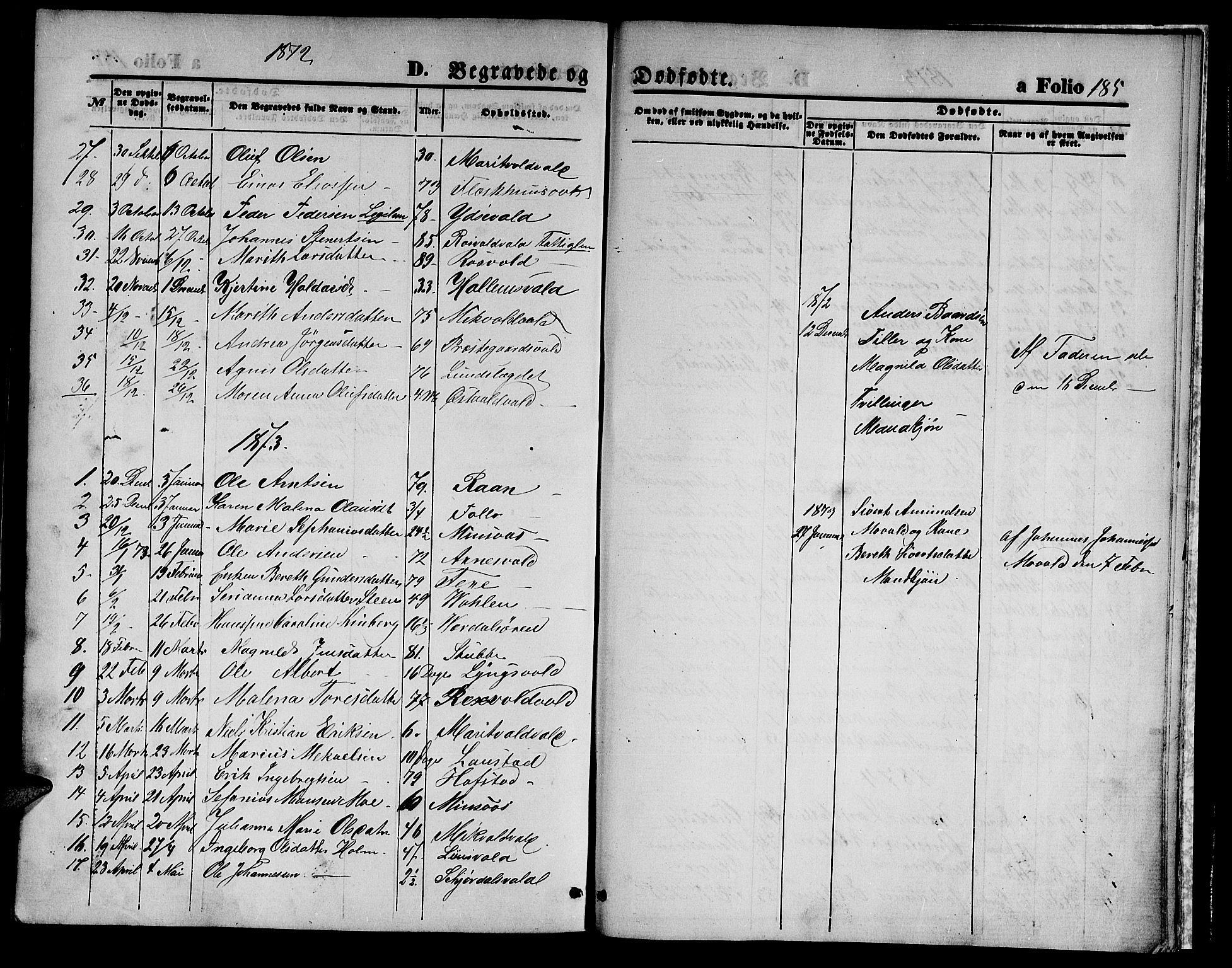 Ministerialprotokoller, klokkerbøker og fødselsregistre - Nord-Trøndelag, SAT/A-1458/723/L0255: Parish register (copy) no. 723C03, 1869-1879, p. 185