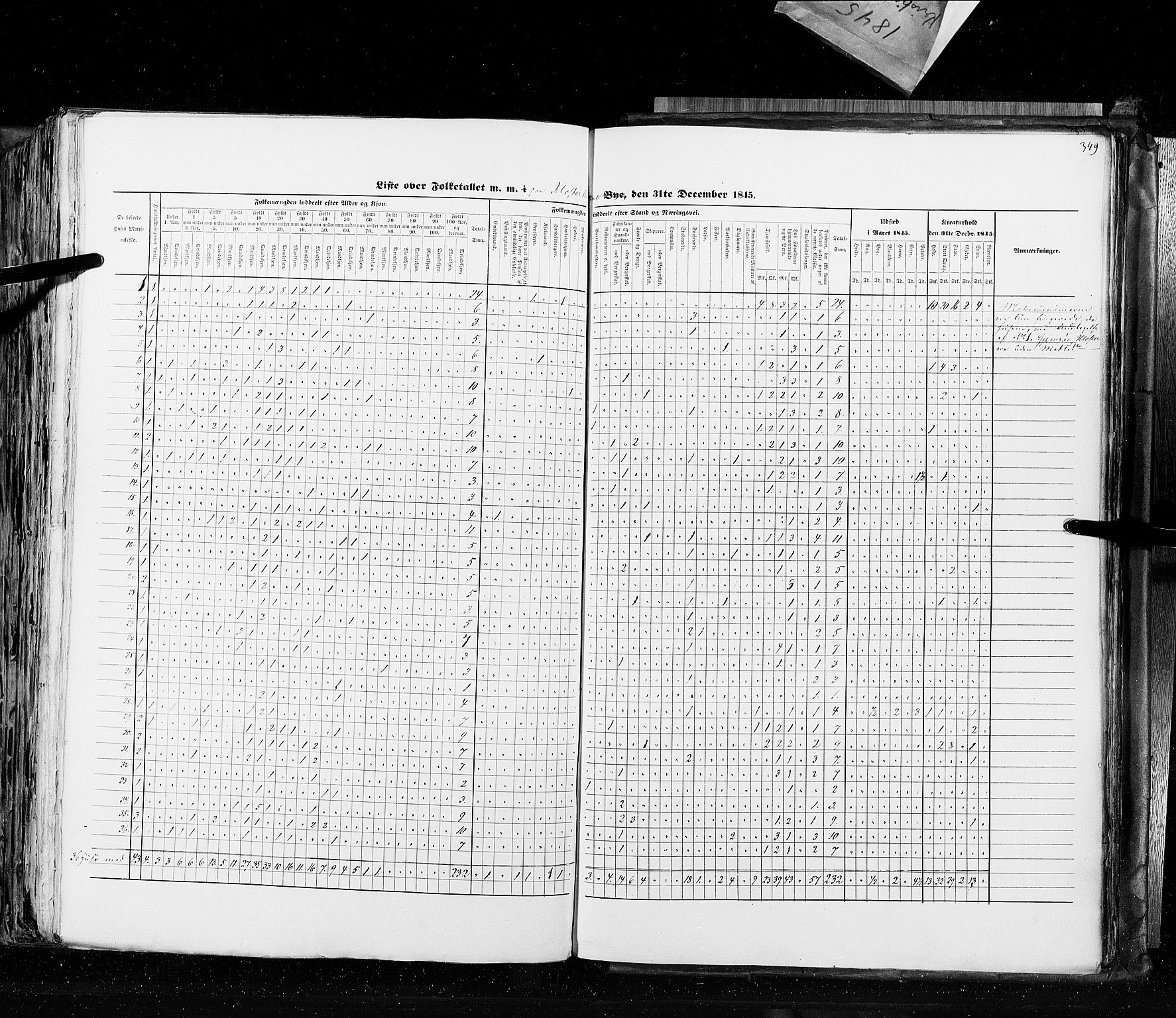 RA, Census 1845, vol. 10: Cities, 1845, p. 349