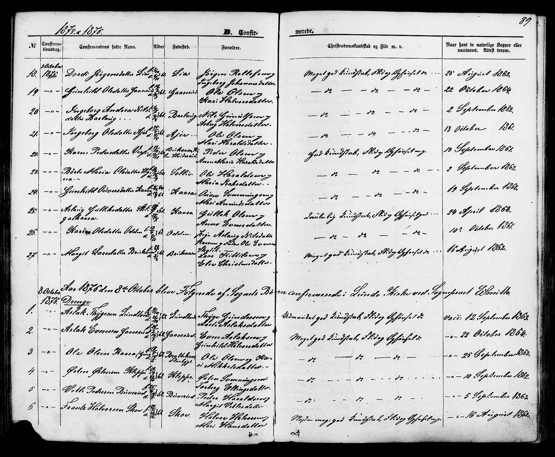 Lunde kirkebøker, SAKO/A-282/F/Fa/L0001: Parish register (official) no. I 1, 1866-1883, p. 89