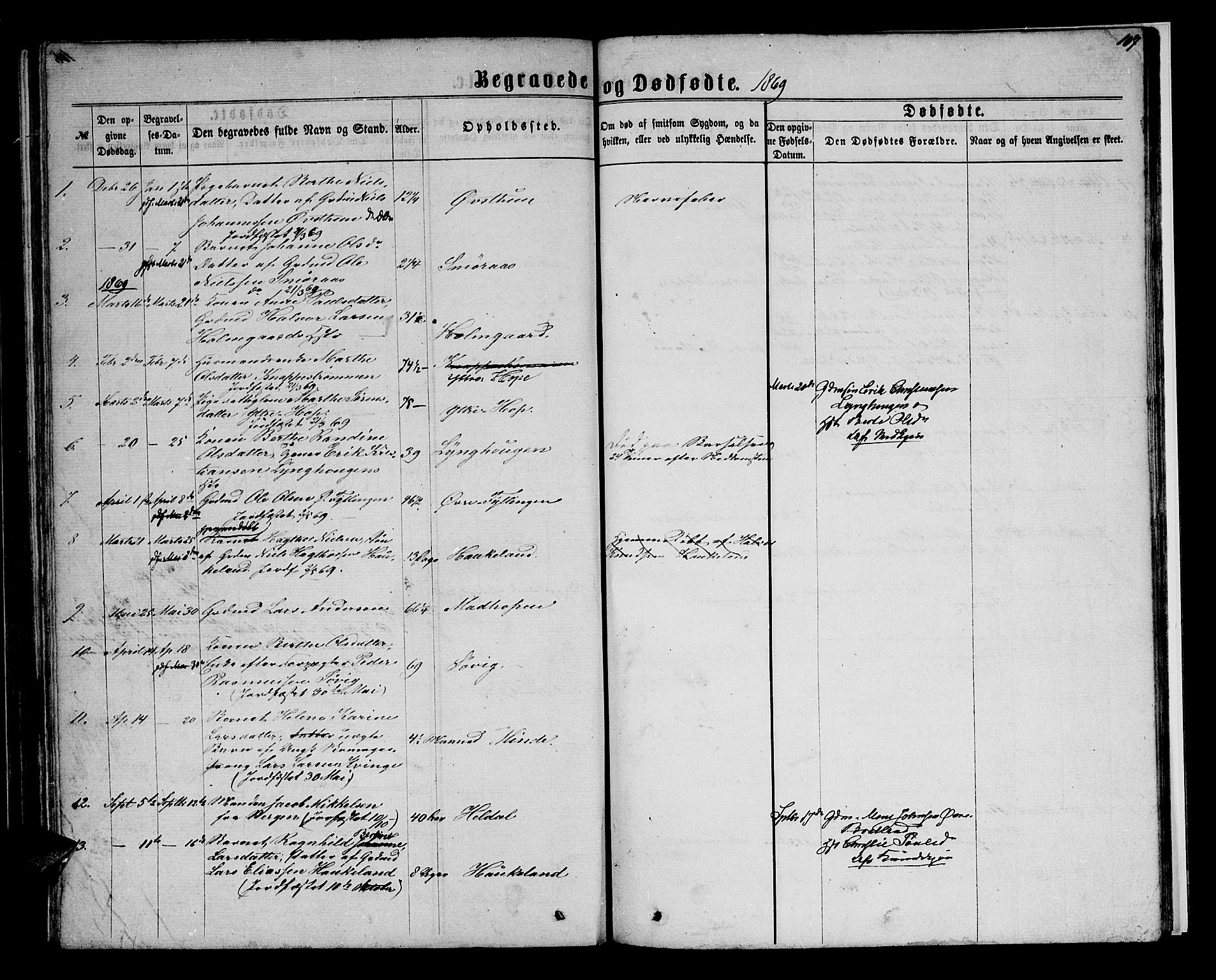Birkeland Sokneprestembete, SAB/A-74601/H/Hab: Parish register (copy) no. A 2, 1863-1876, p. 107