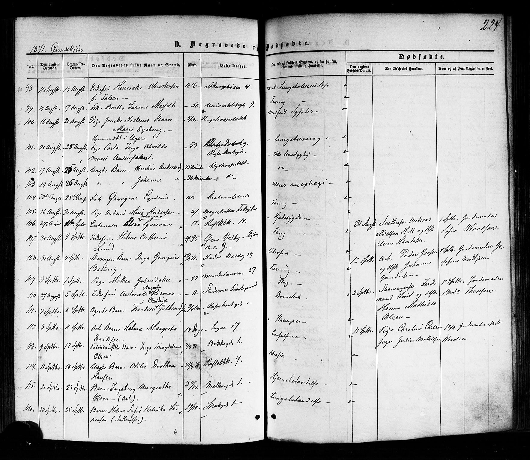 Trefoldighet prestekontor Kirkebøker, SAO/A-10882/F/Fd/L0001: Parish register (official) no. IV 1, 1858-1877, p. 224