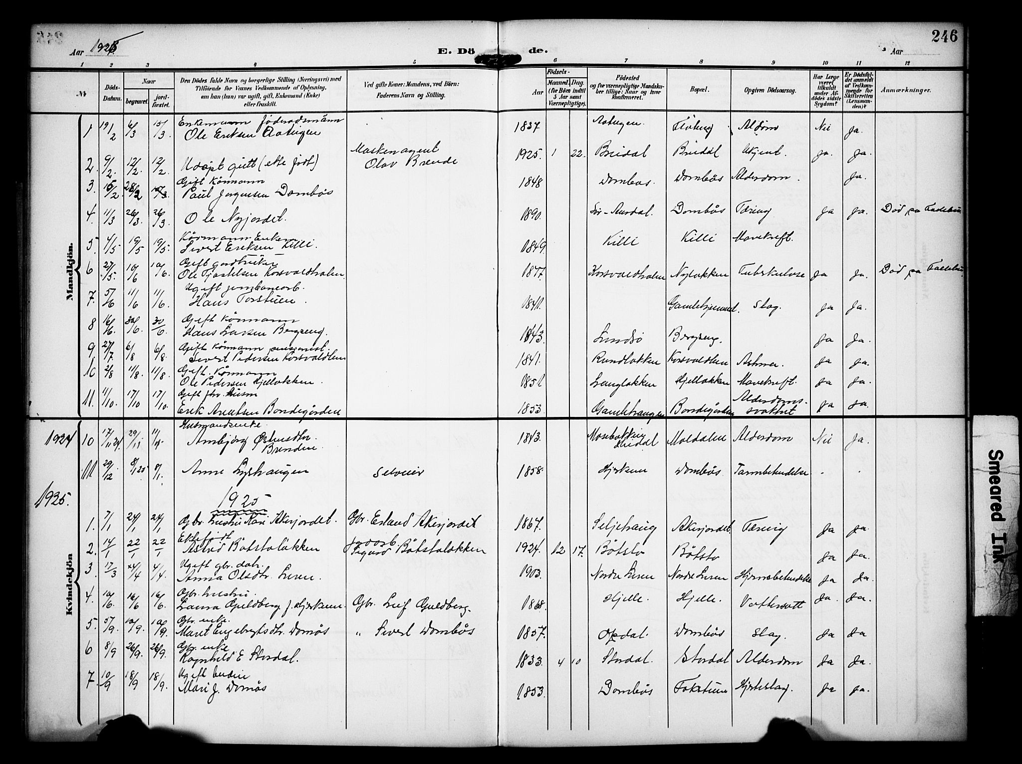 Dovre prestekontor, AV/SAH-PREST-066/H/Ha/Hab/L0003: Parish register (copy) no. 3, 1907-1929, p. 246