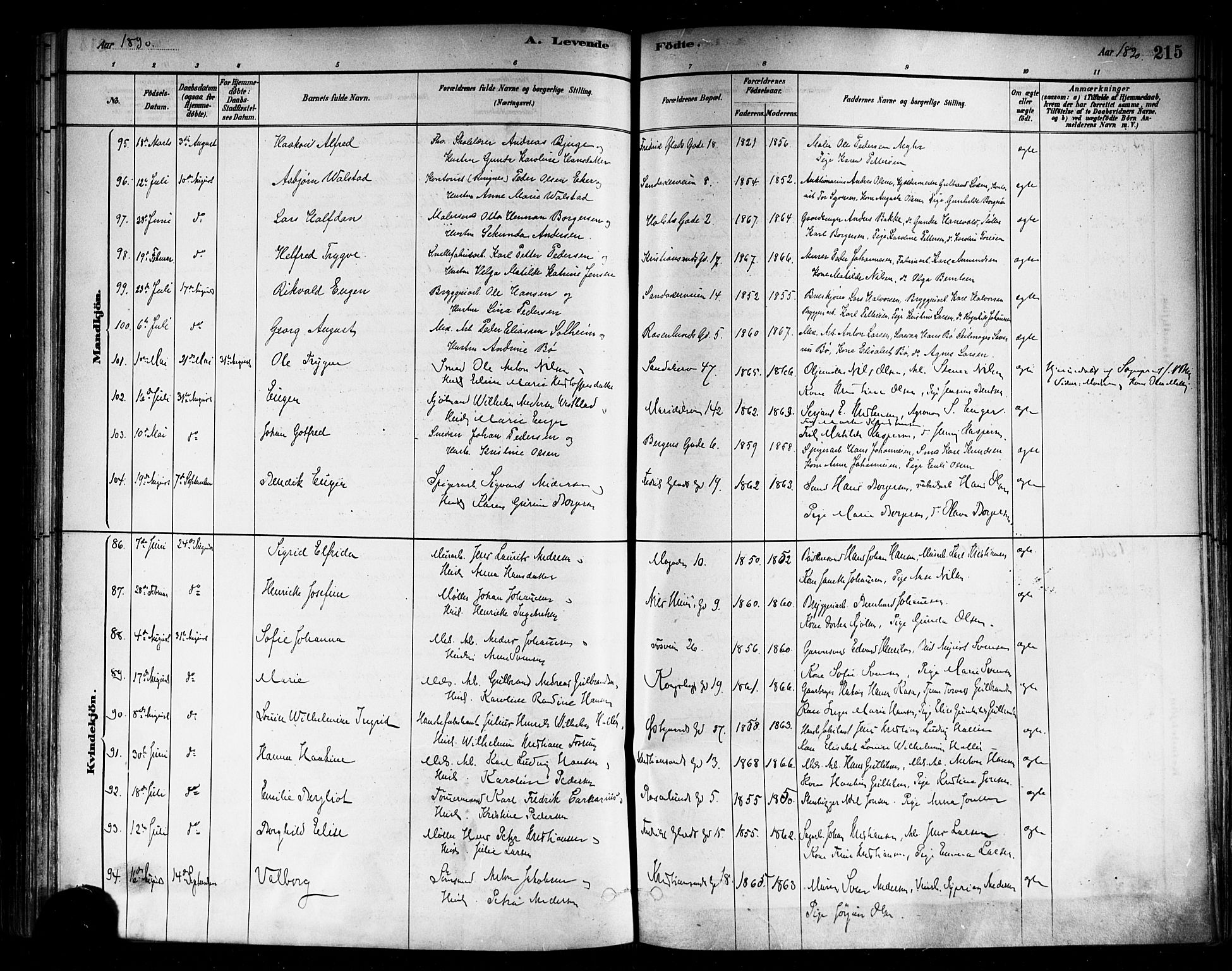 Sagene prestekontor Kirkebøker, SAO/A-10796/F/L0001: Parish register (official) no. 1, 1880-1893, p. 215