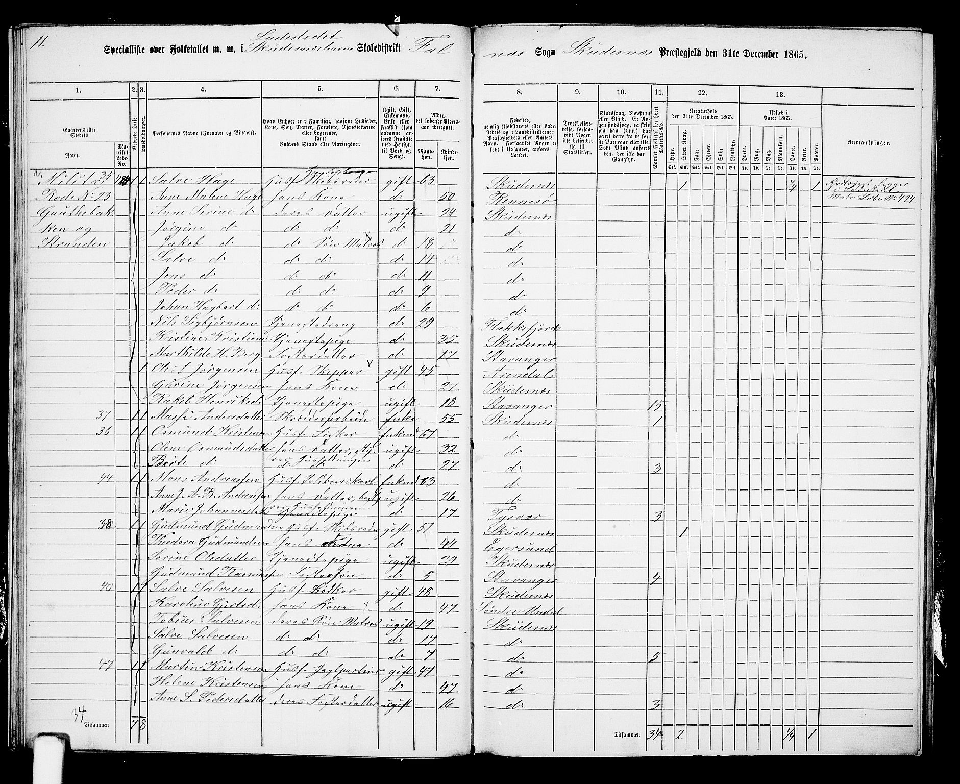 RA, 1865 census for Skudenes, 1865, p. 222