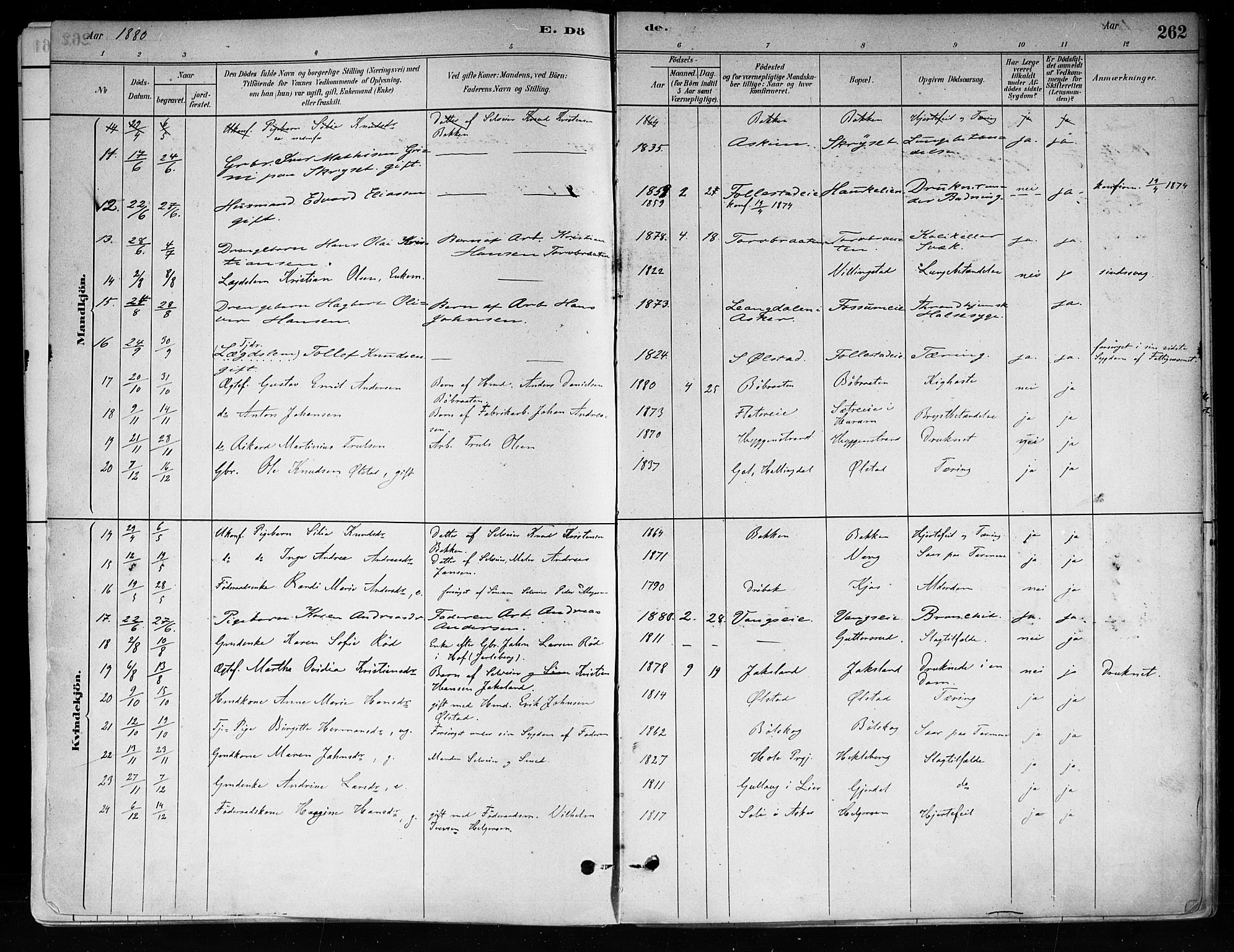 Røyken kirkebøker, AV/SAKO-A-241/F/Fa/L0008: Parish register (official) no. 8, 1880-1897, p. 262