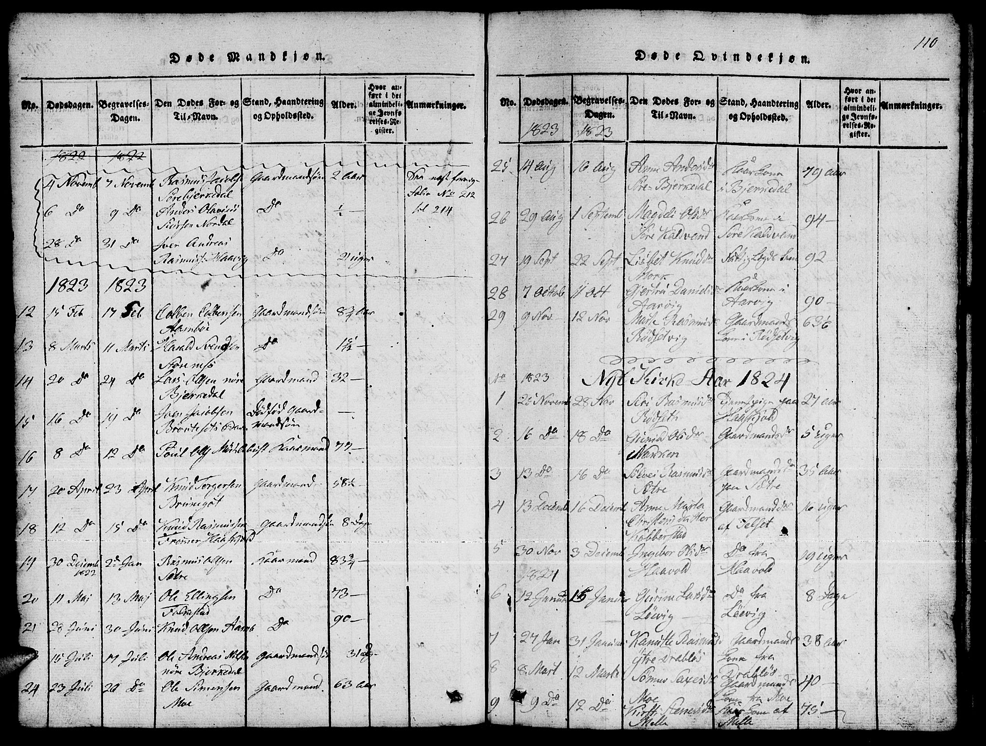 Ministerialprotokoller, klokkerbøker og fødselsregistre - Møre og Romsdal, AV/SAT-A-1454/511/L0155: Parish register (copy) no. 511C01, 1817-1829, p. 110