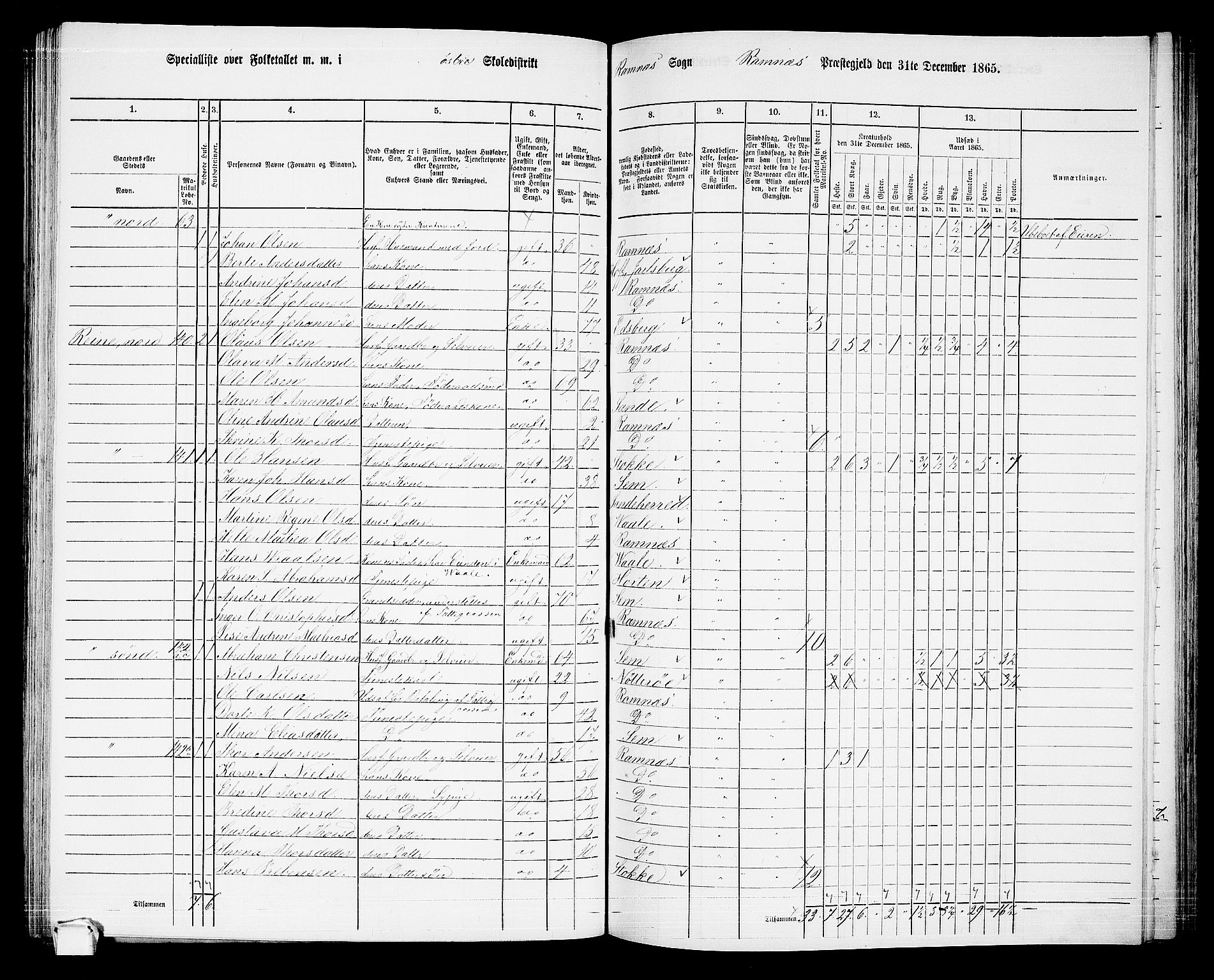 RA, 1865 census for Ramnes, 1865, p. 55