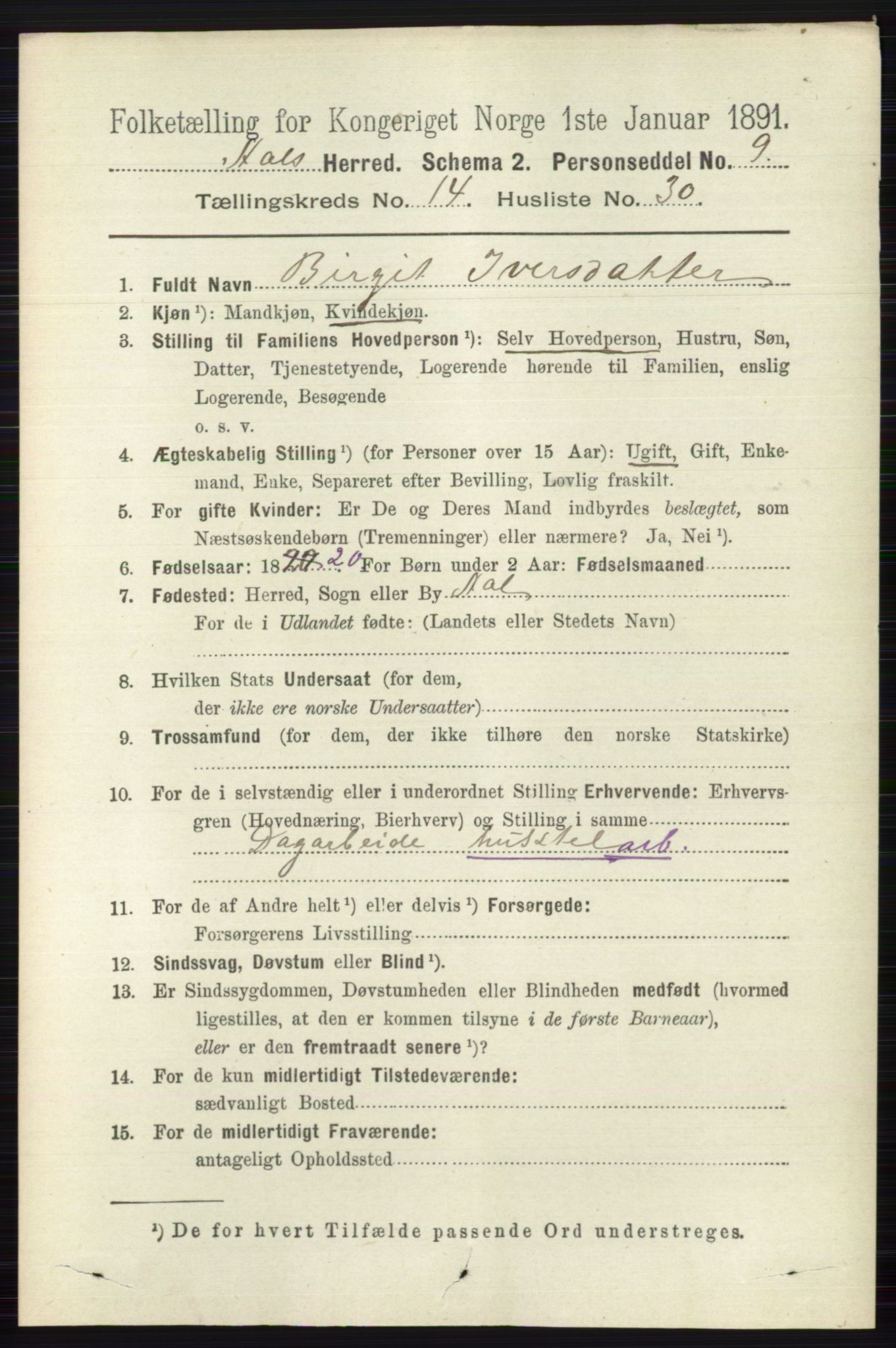 RA, 1891 census for 0619 Ål, 1891, p. 3692