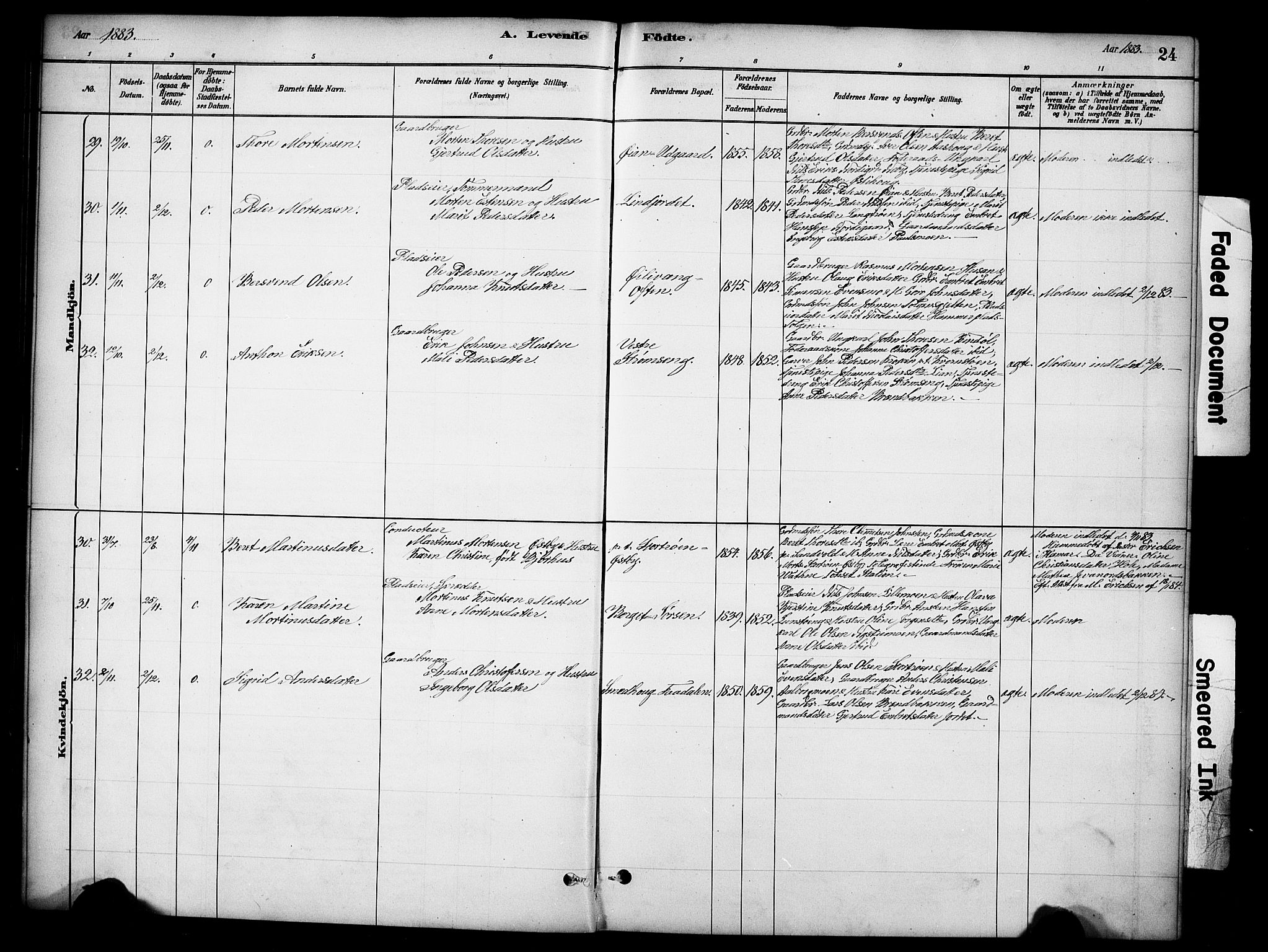 Tynset prestekontor, AV/SAH-PREST-058/H/Ha/Hab/L0006: Parish register (copy) no. 6, 1880-1899, p. 24