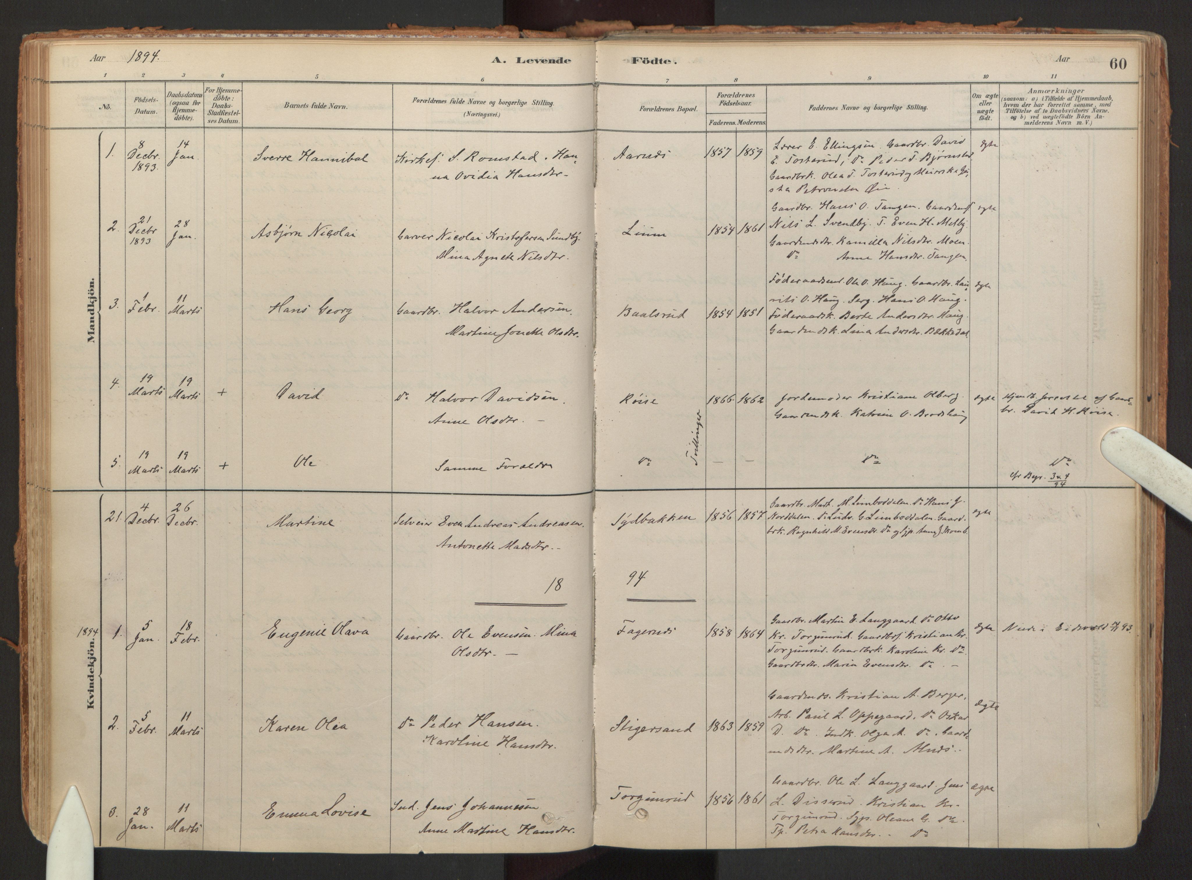 Hurdal prestekontor Kirkebøker, SAO/A-10889/F/Fb/L0003: Parish register (official) no. II 3, 1878-1920, p. 60