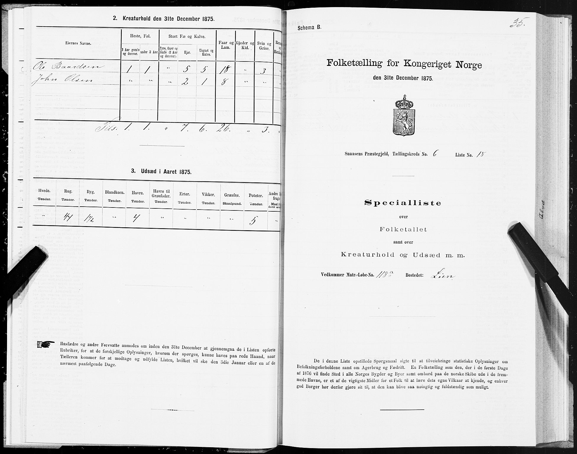SAT, 1875 census for 1736P Snåsa, 1875, p. 3035