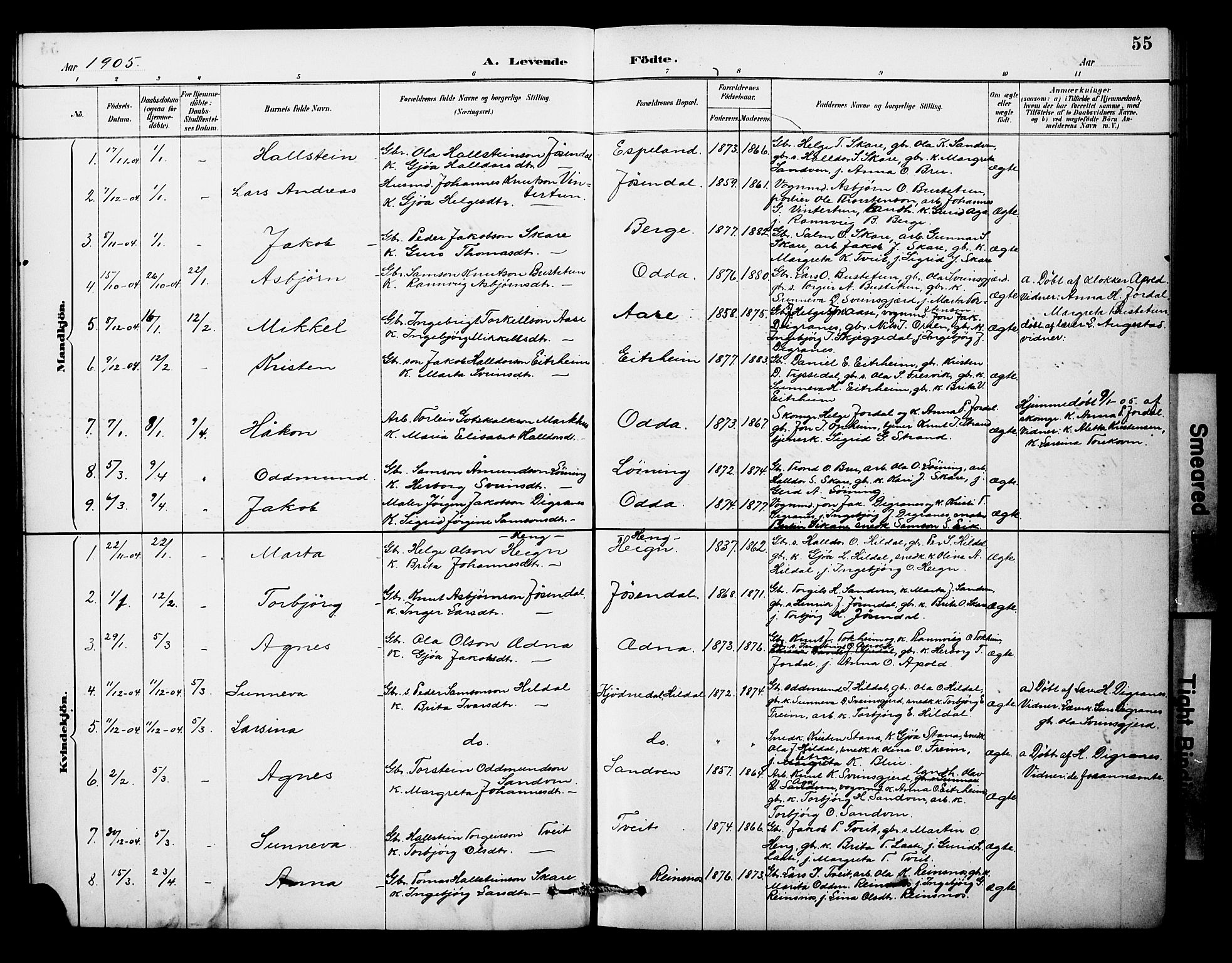 Odda Sokneprestembete, SAB/A-77201/H/Hab: Parish register (copy) no. A 7, 1887-1912, p. 55