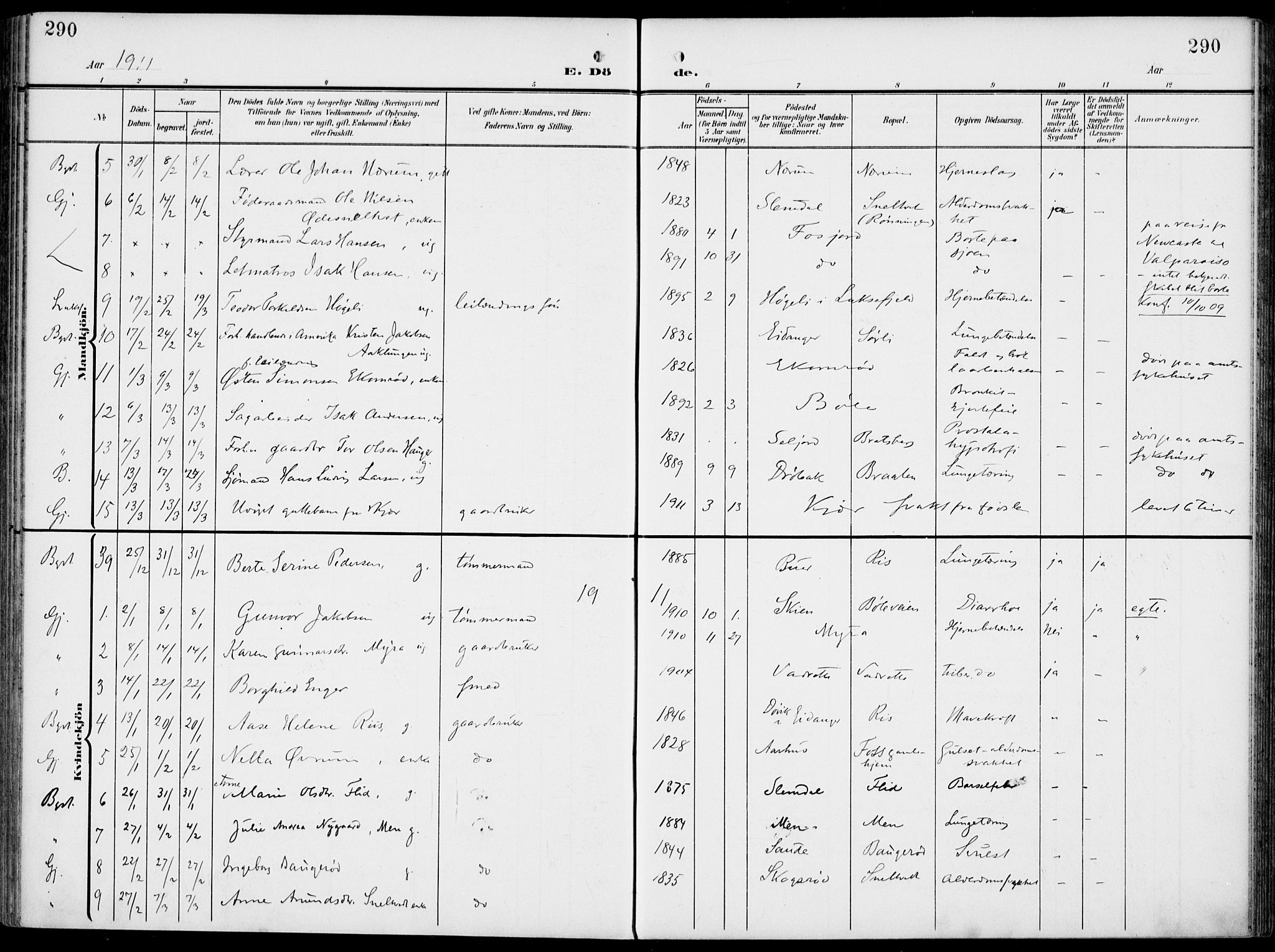 Gjerpen kirkebøker, SAKO/A-265/F/Fa/L0012: Parish register (official) no. I 12, 1905-1913, p. 290