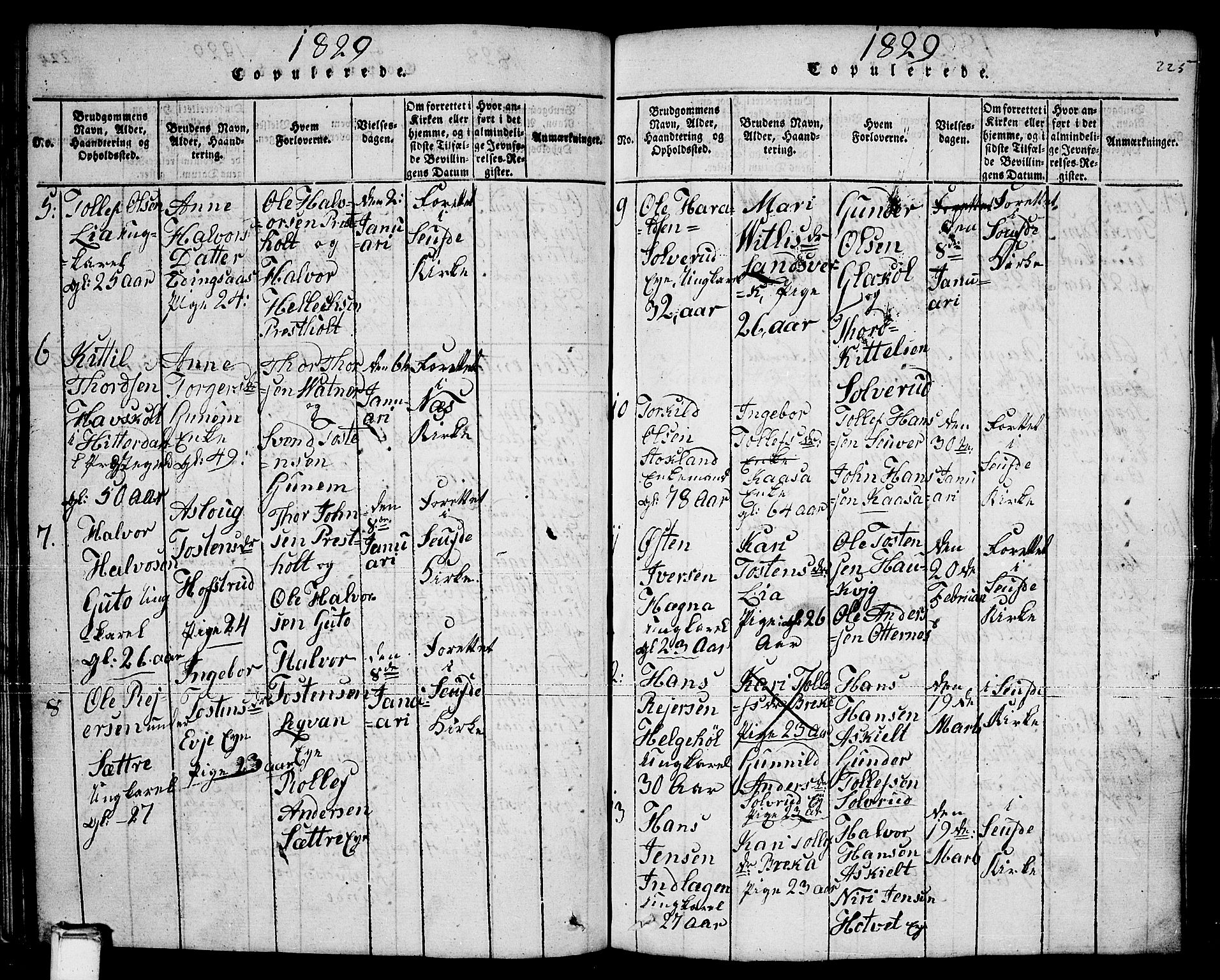 Sauherad kirkebøker, AV/SAKO-A-298/F/Fa/L0005: Parish register (official) no. I 5, 1815-1829, p. 225