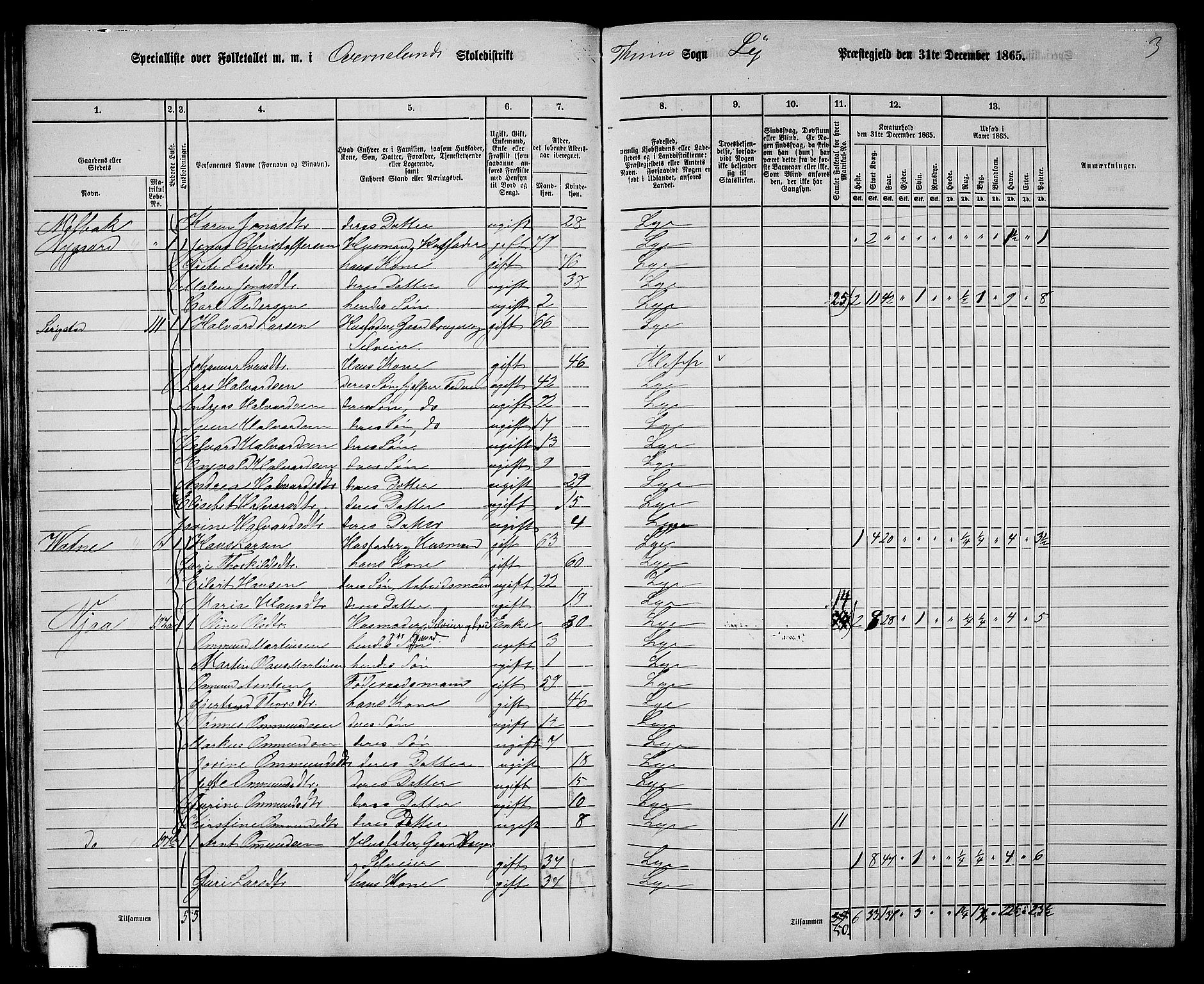 RA, 1865 census for Lye, 1865, p. 35