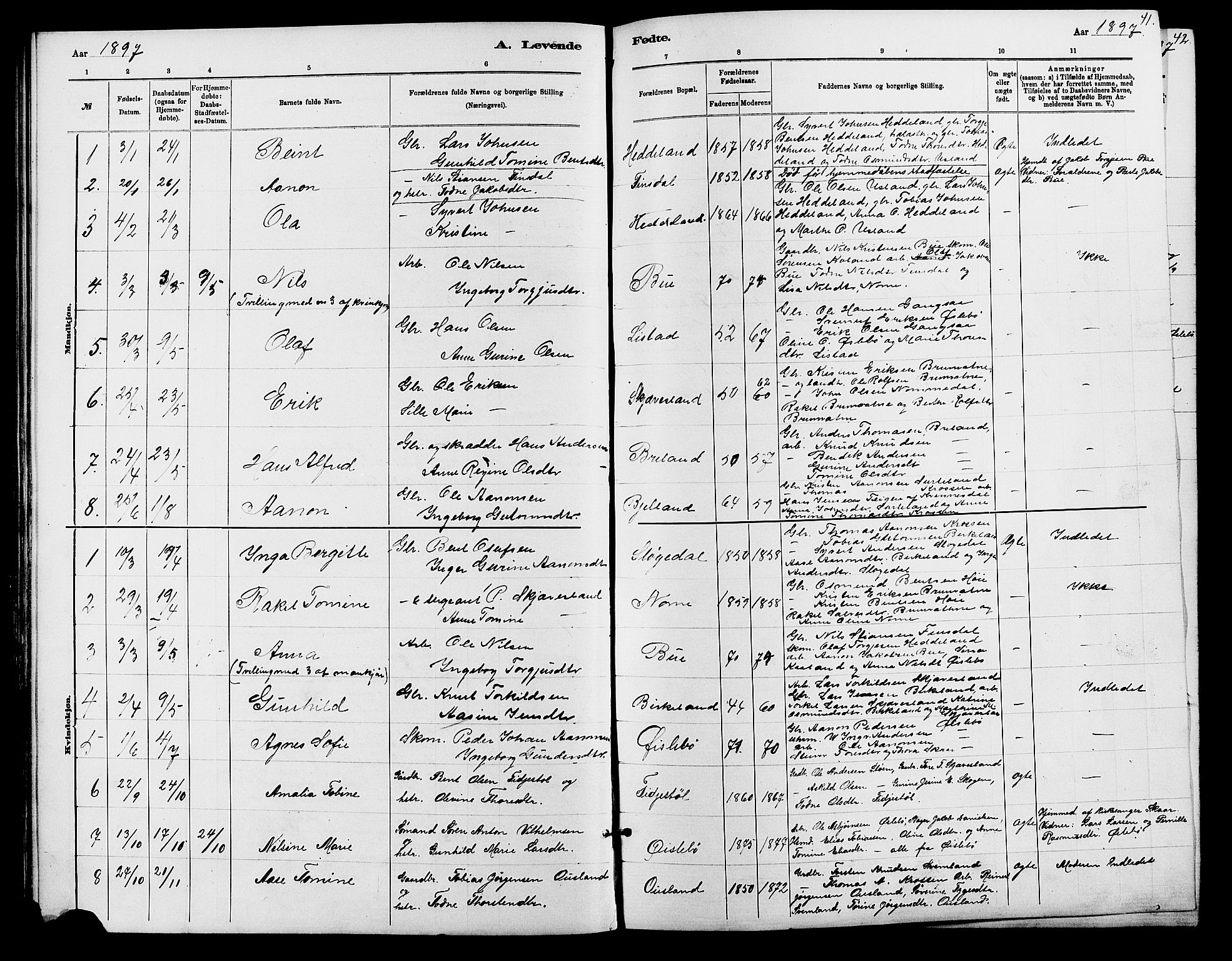 Holum sokneprestkontor, SAK/1111-0022/F/Fb/Fbc/L0003: Parish register (copy) no. B 3, 1882-1908, p. 41