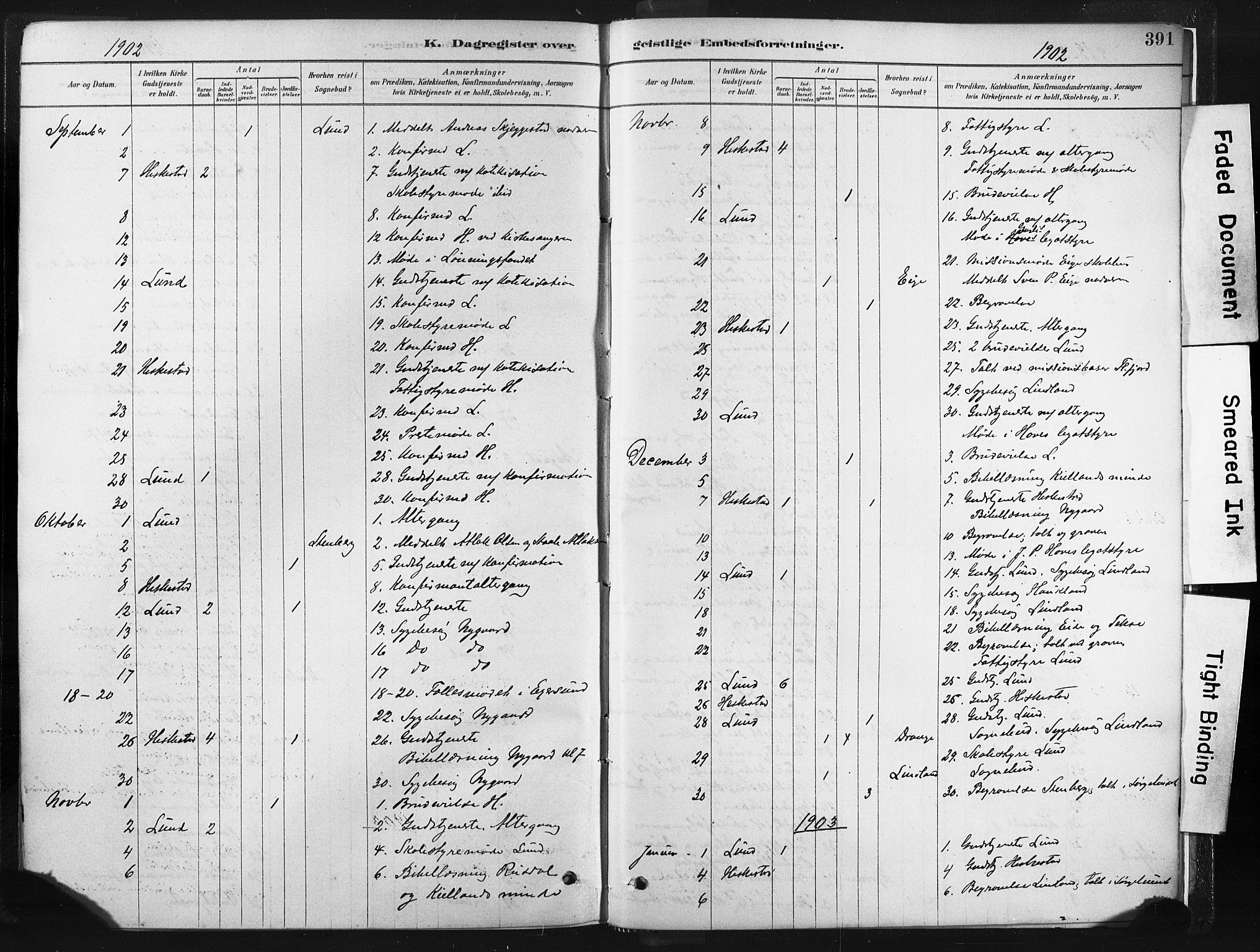 Lund sokneprestkontor, AV/SAST-A-101809/S06/L0011: Parish register (official) no. A 10, 1877-1904, p. 391