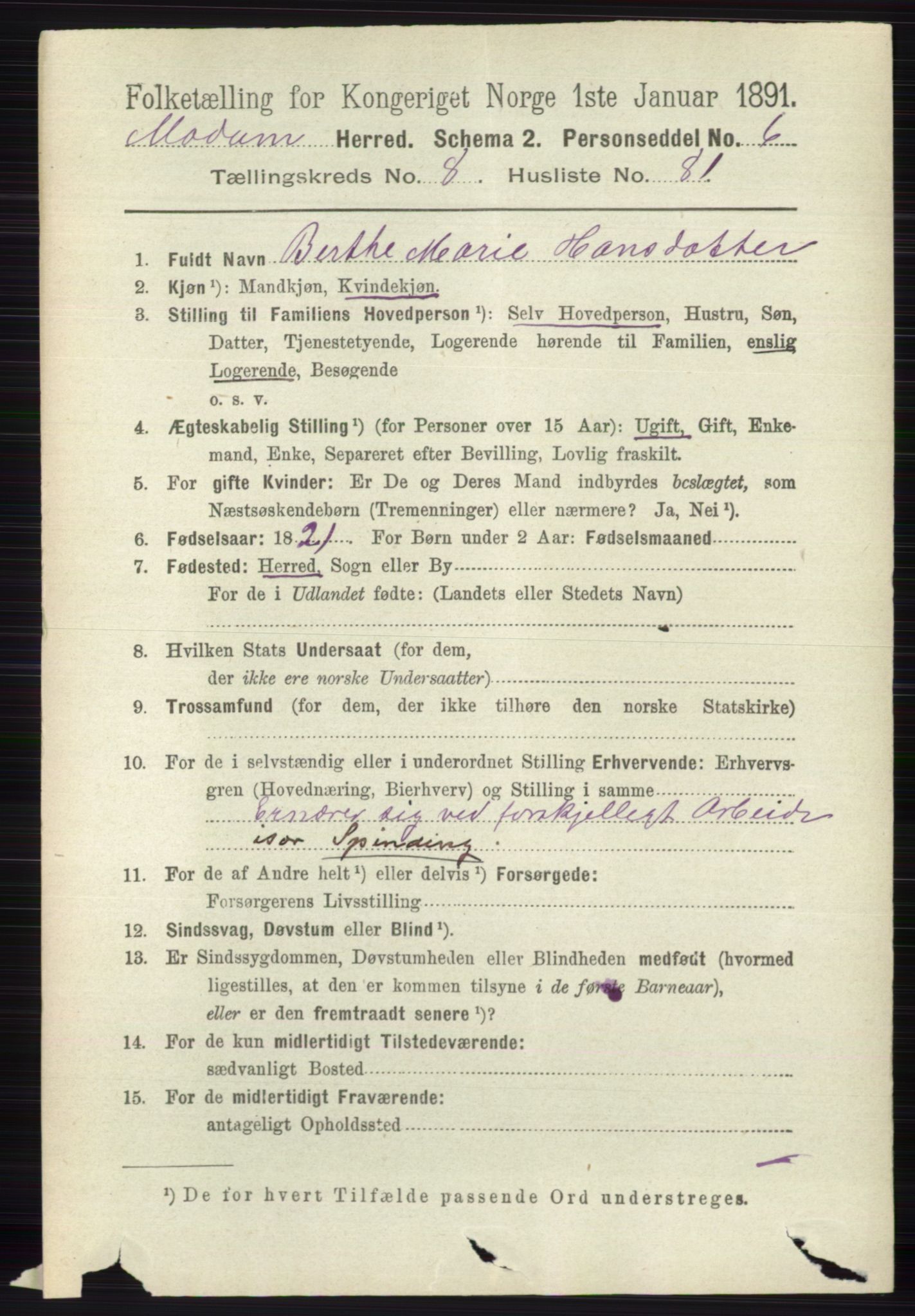 RA, 1891 census for 0623 Modum, 1891, p. 3355