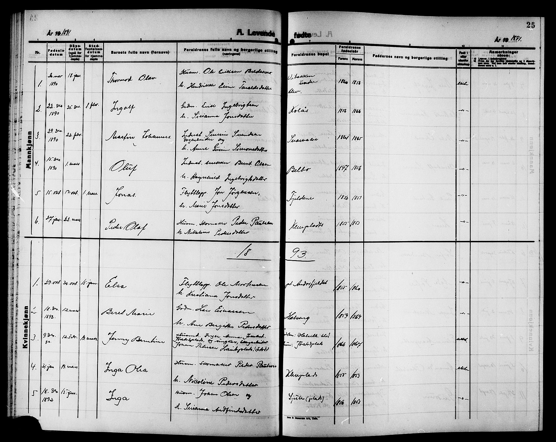 Ministerialprotokoller, klokkerbøker og fødselsregistre - Nord-Trøndelag, SAT/A-1458/749/L0487: Parish register (official) no. 749D03, 1887-1902, p. 25