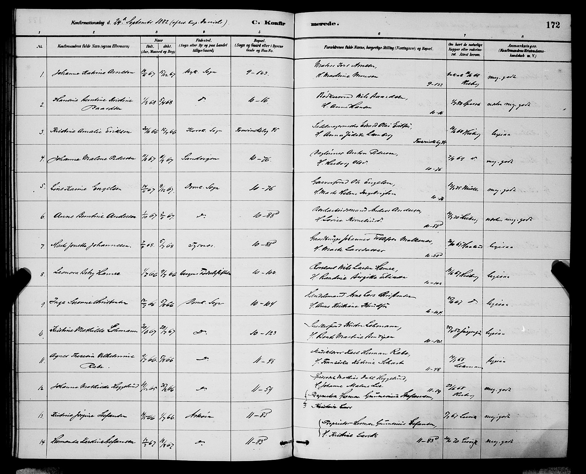 Domkirken sokneprestembete, AV/SAB-A-74801/H/Hab/L0024: Parish register (copy) no. C 4, 1880-1899, p. 172