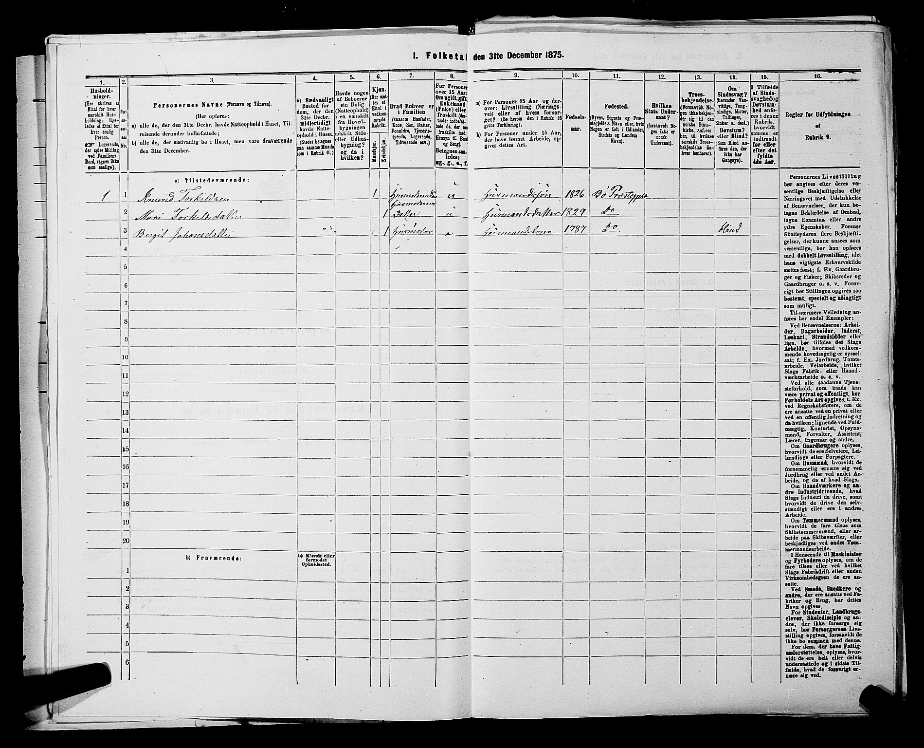 SAKO, 1875 census for 0821P Bø, 1875, p. 46