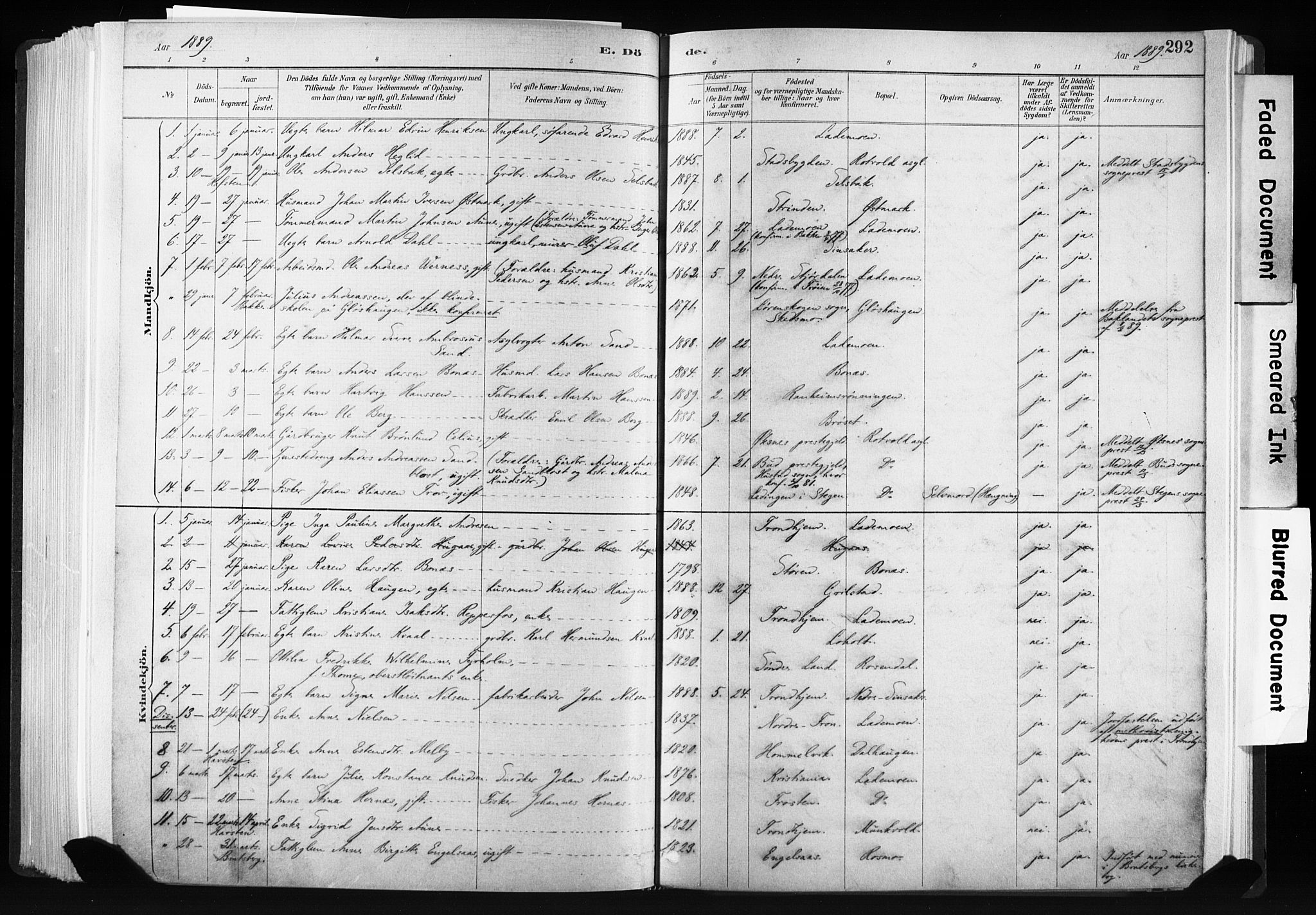 Ministerialprotokoller, klokkerbøker og fødselsregistre - Sør-Trøndelag, AV/SAT-A-1456/606/L0300: Parish register (official) no. 606A15, 1886-1893, p. 292
