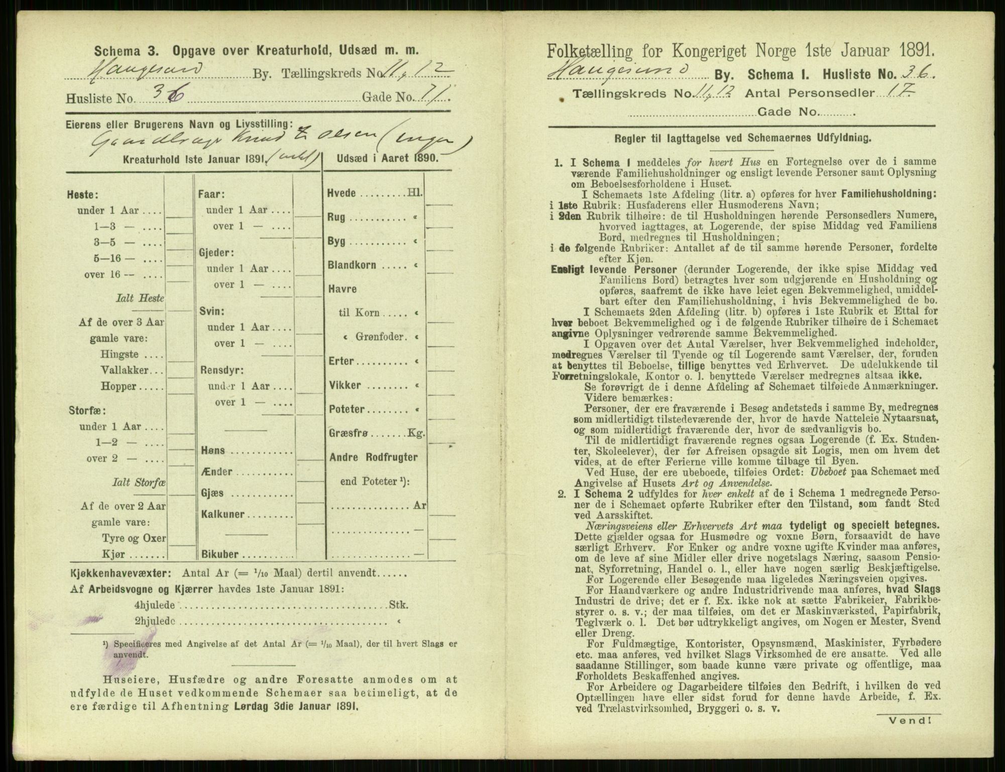 RA, 1891 census for 1106 Haugesund, 1891, p. 836