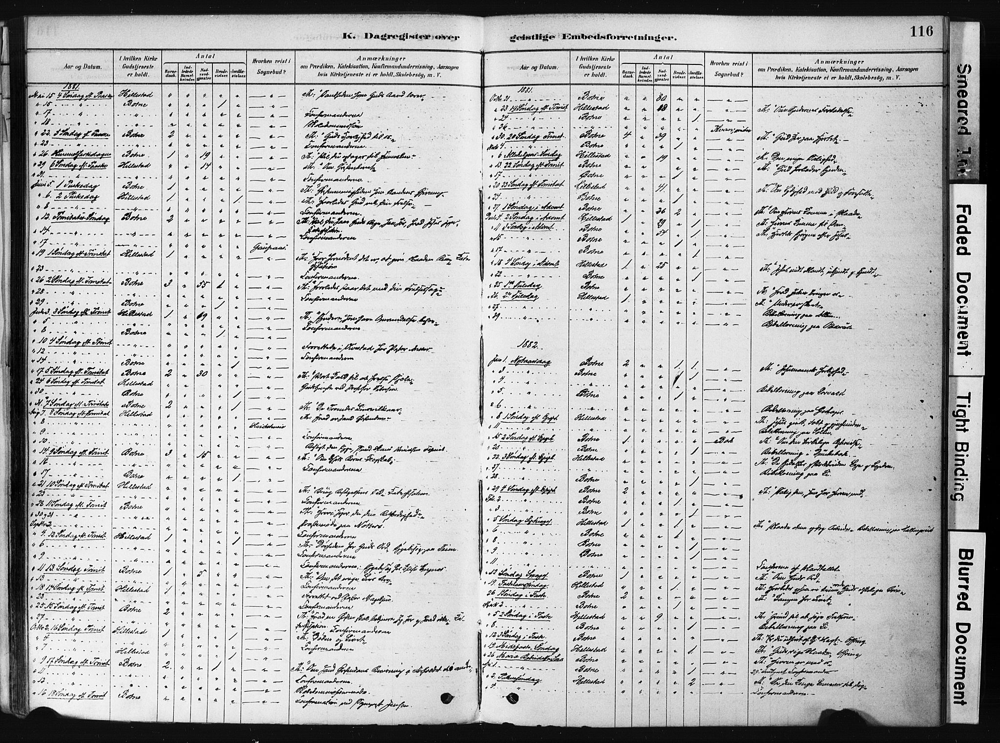 Botne kirkebøker, SAKO/A-340/F/Fb/L0001: Parish register (official) no. II 1, 1878-1902, p. 116